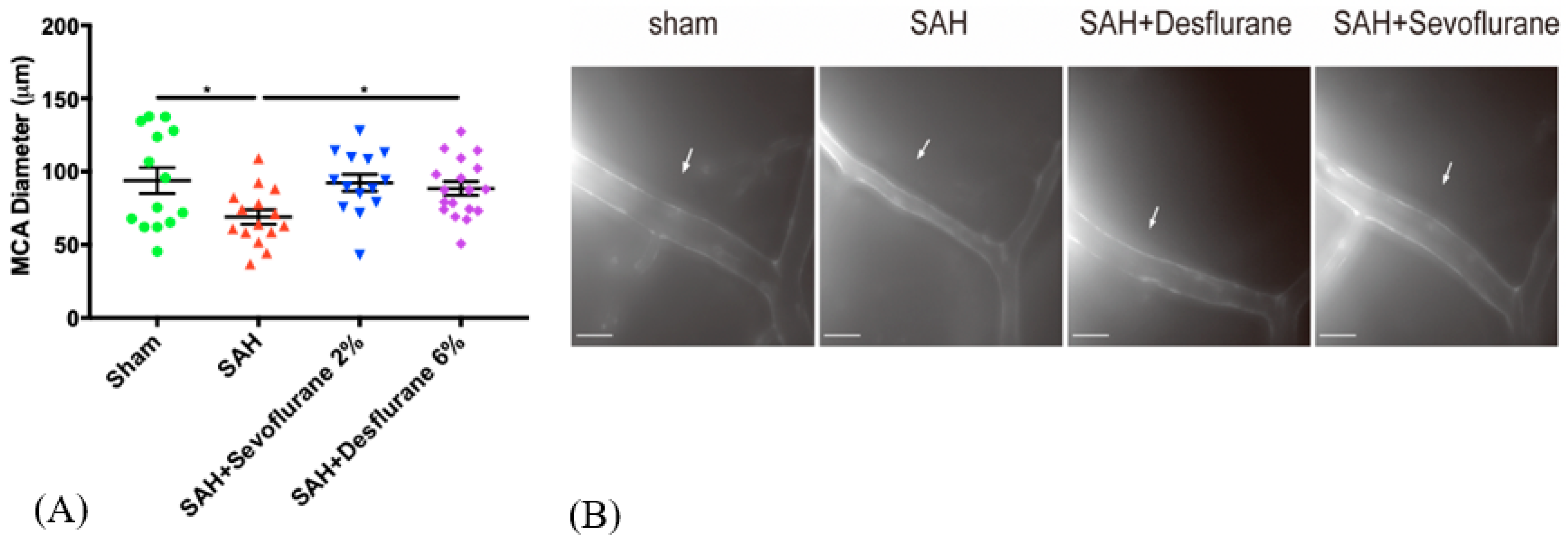 Biomedicines 09 00820 g002 550