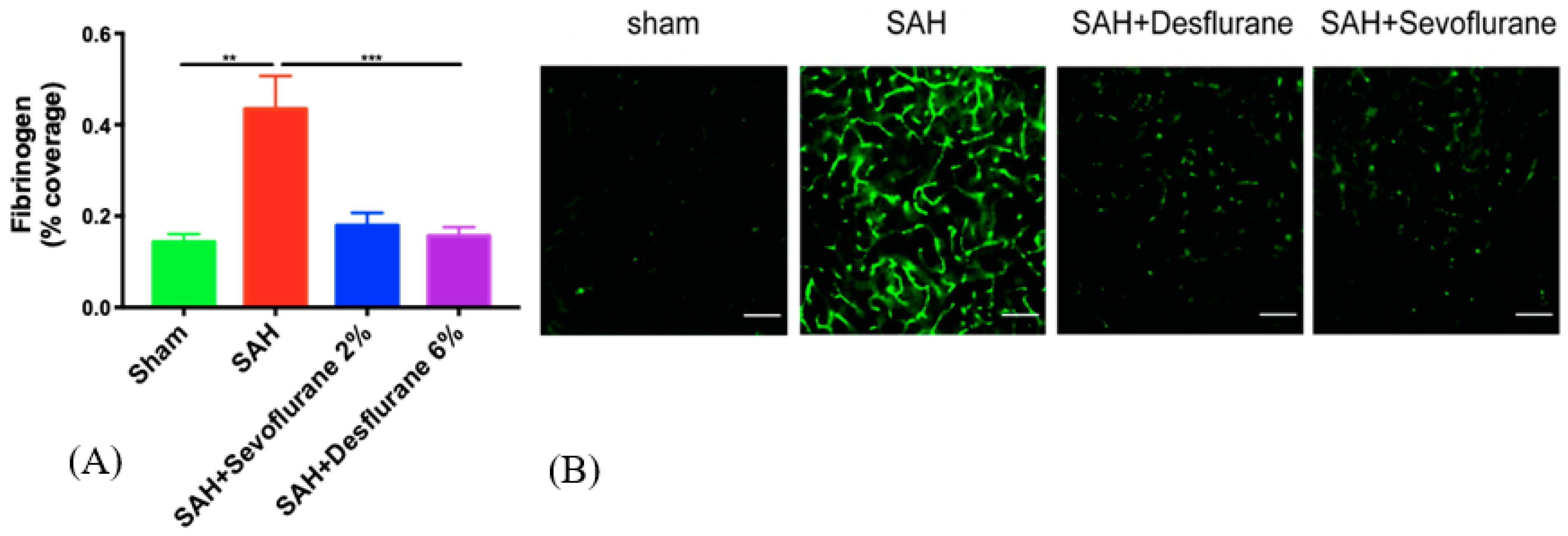 Biomedicines 09 00820 g003 550