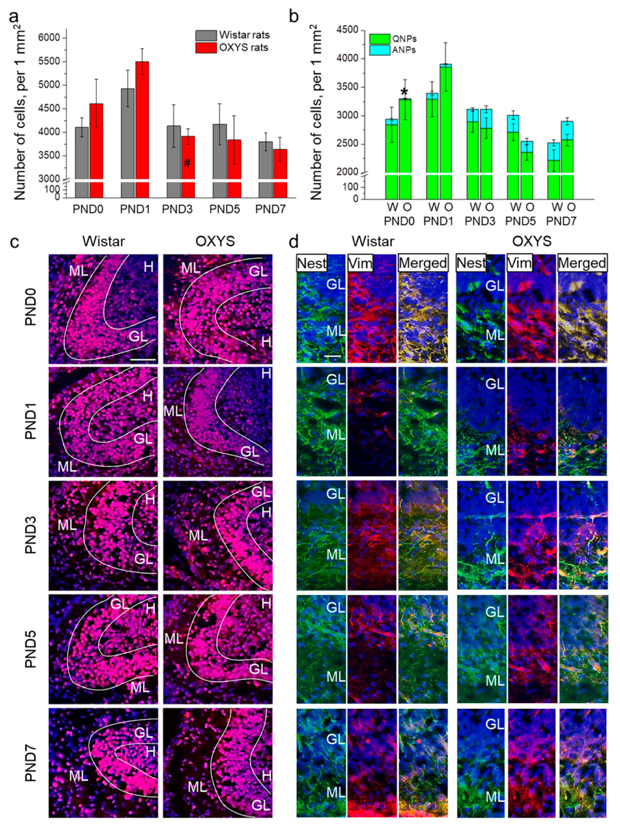 Biomedicines 09 00823 g001 550