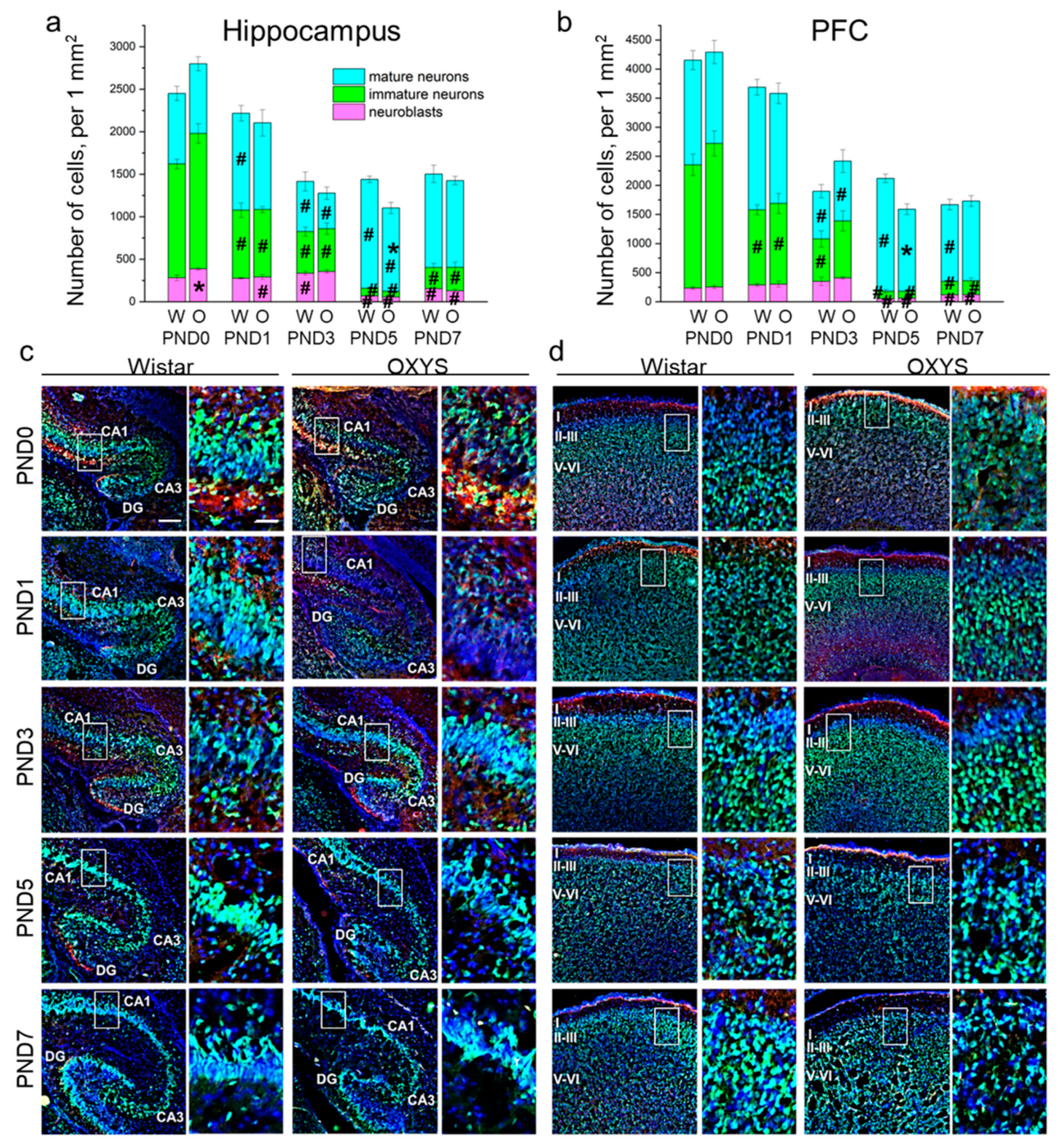 Biomedicines 09 00823 g002 550