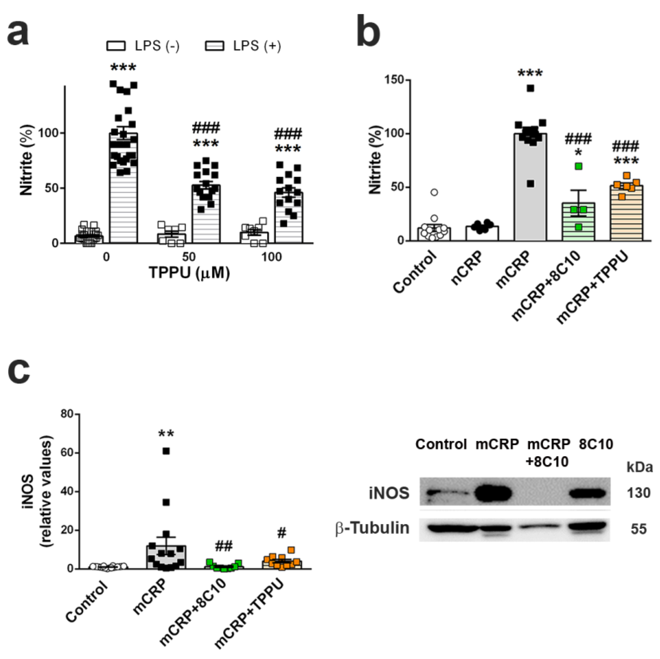Biomedicines 09 00828 g008
