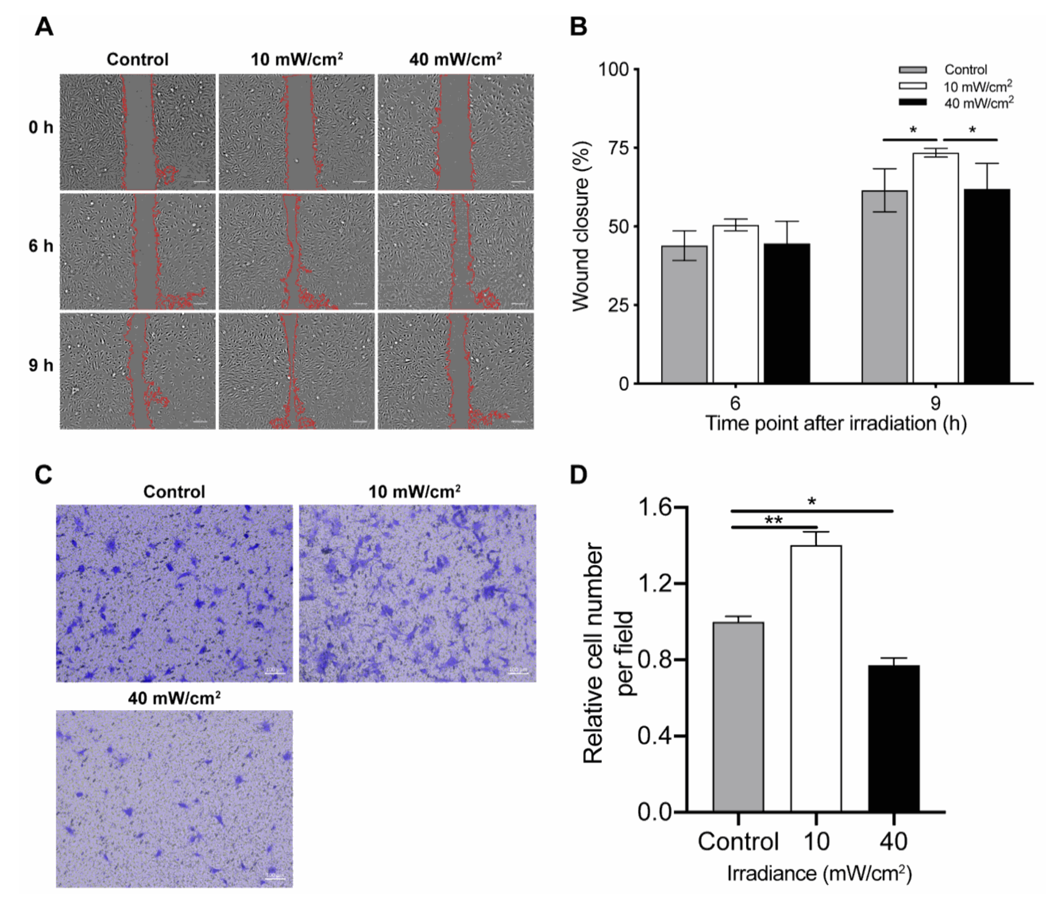 Biomedicines 09 00829 g003 550
