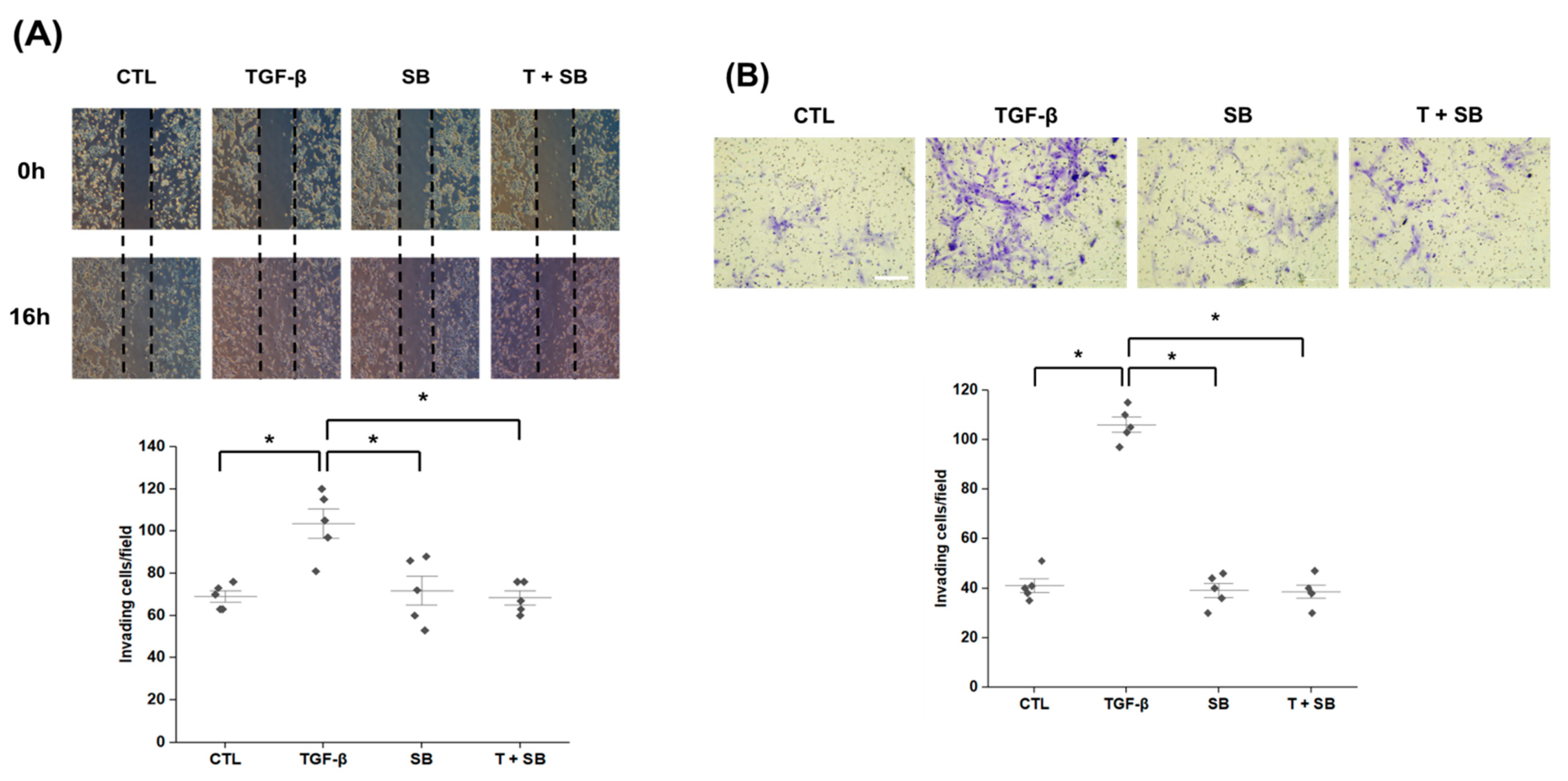 Biomedicines 09 00839 g002