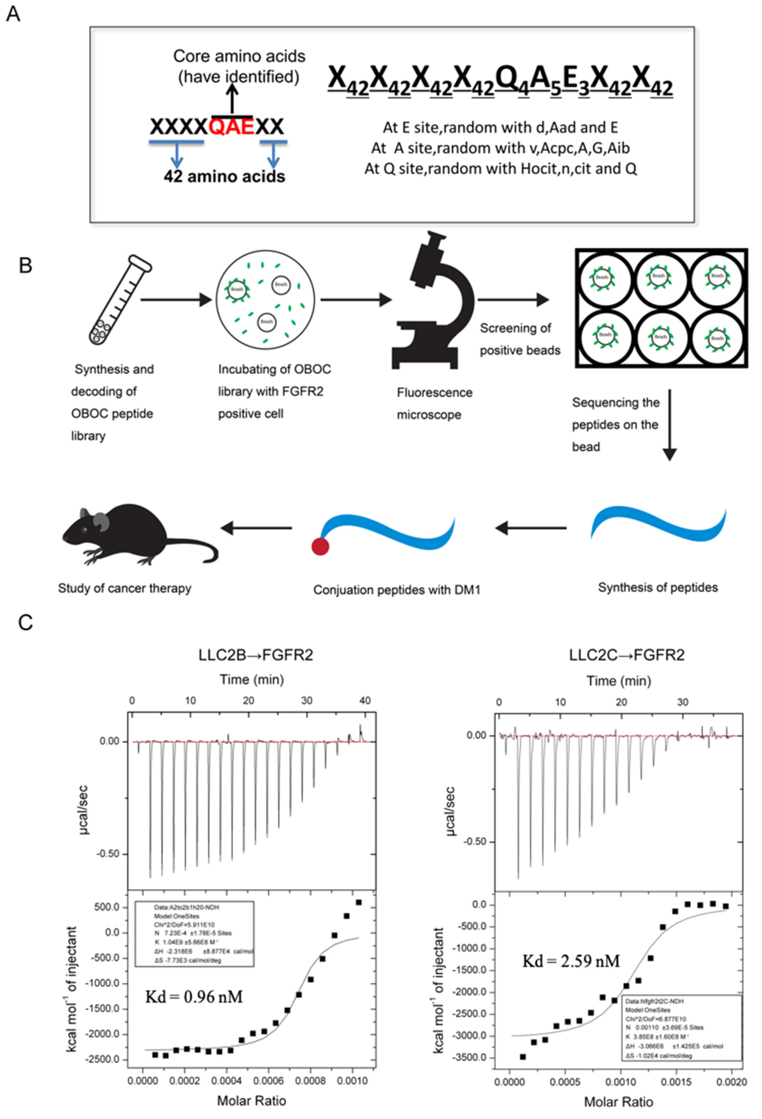 Biomedicines 09 00849 g001 550