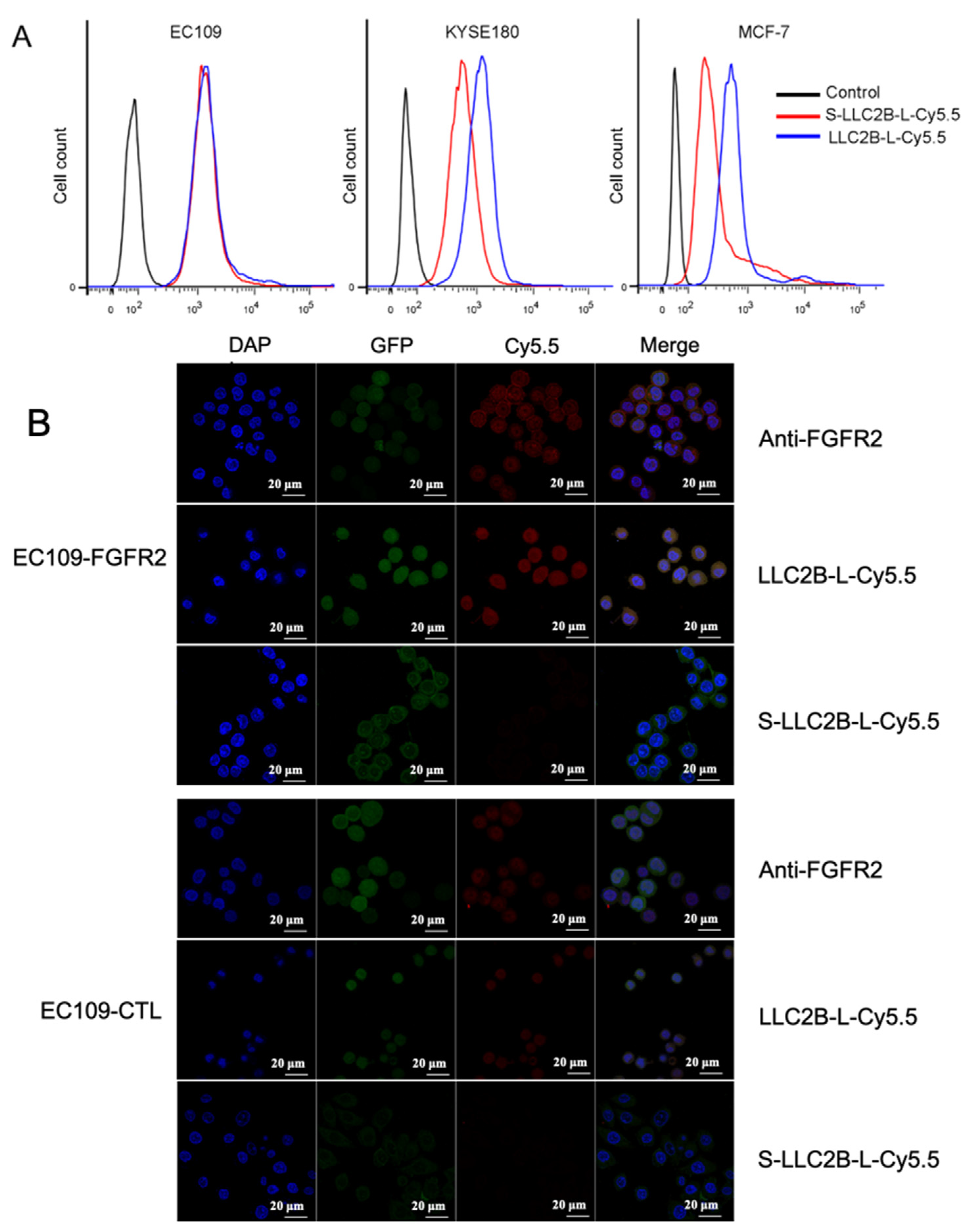 Biomedicines 09 00849 g002 550