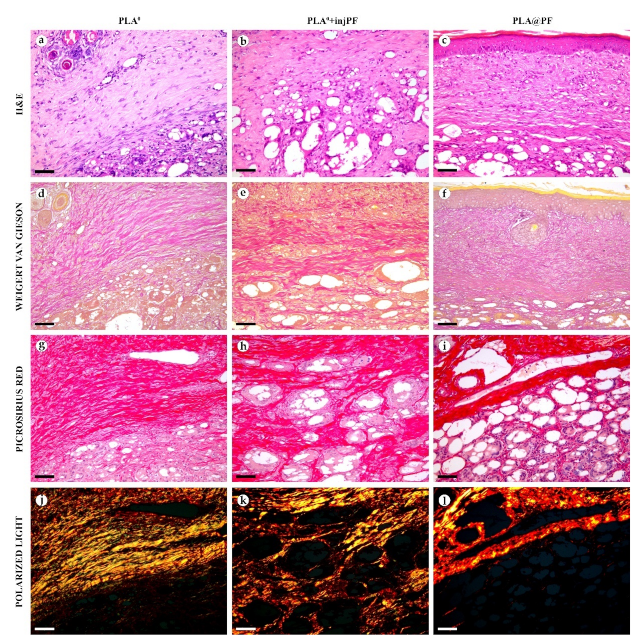 Biomedicines 09 00853 g005 550