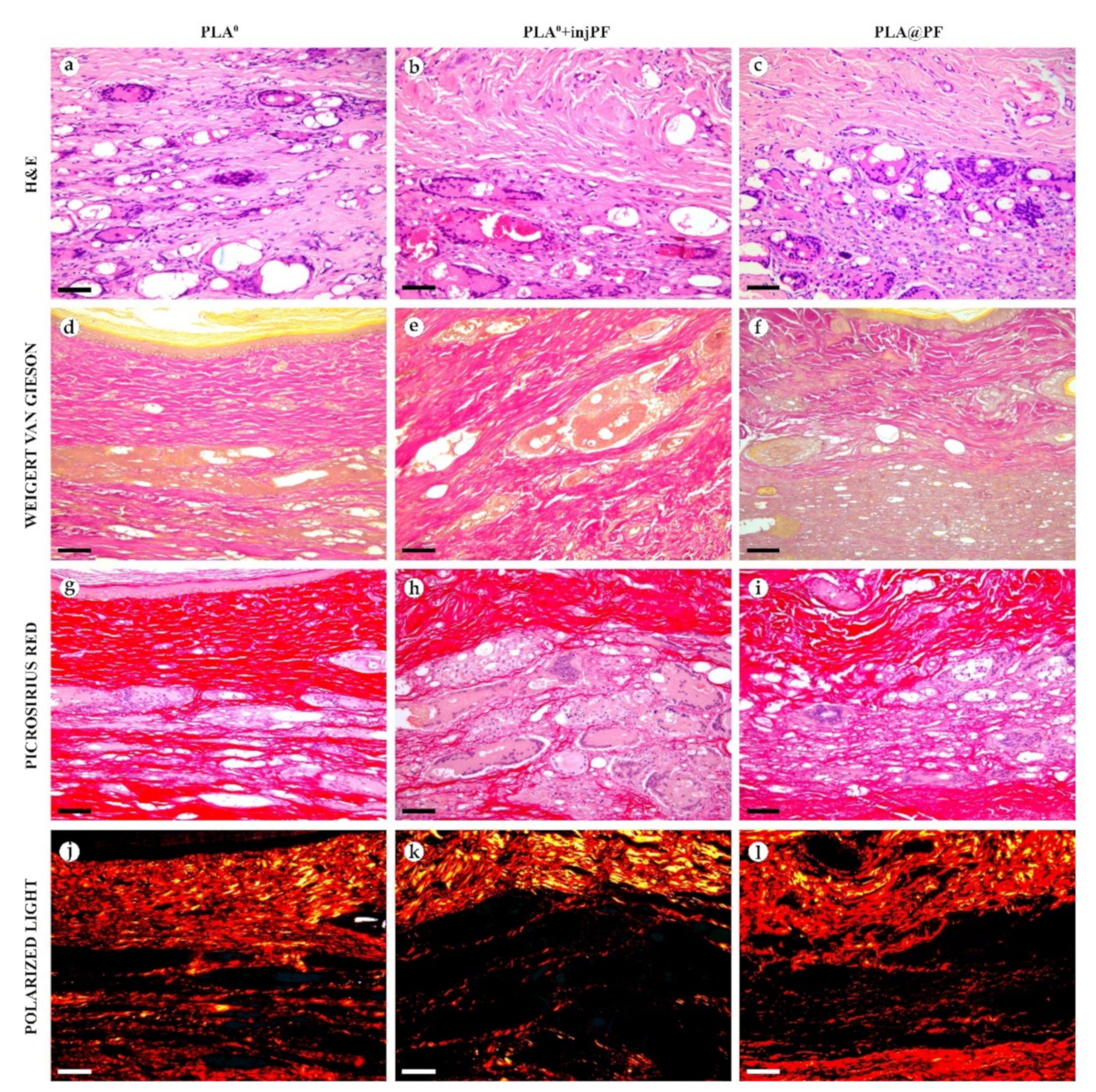 Biomedicines 09 00853 g007 550