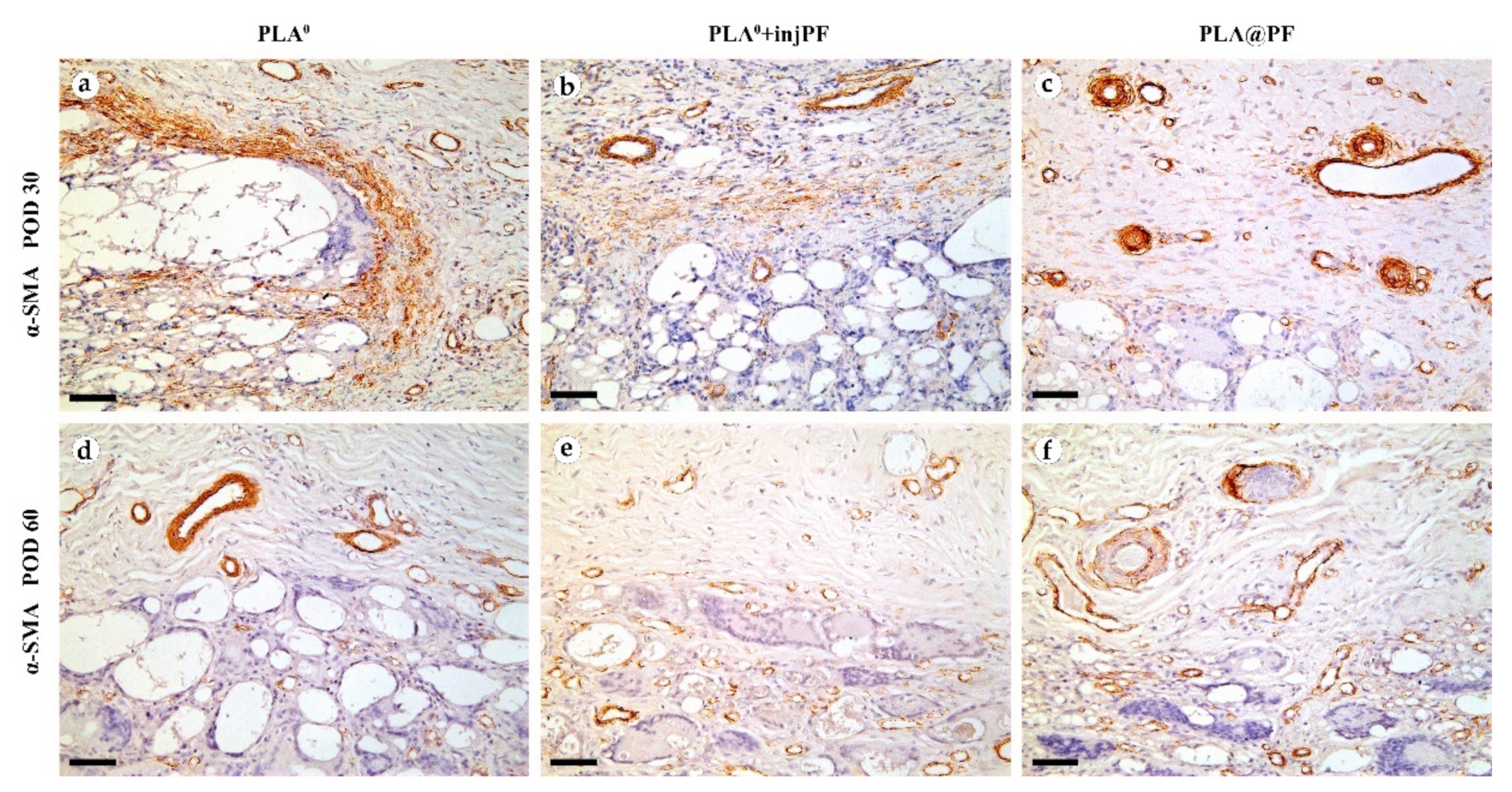 Biomedicines 09 00853 g008 550