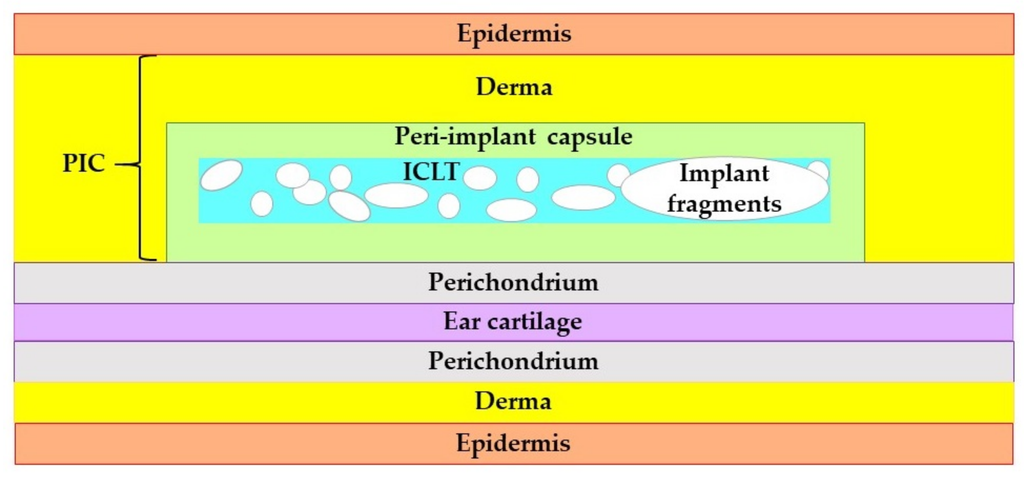 Biomedicines 09 00853 g0a3 550