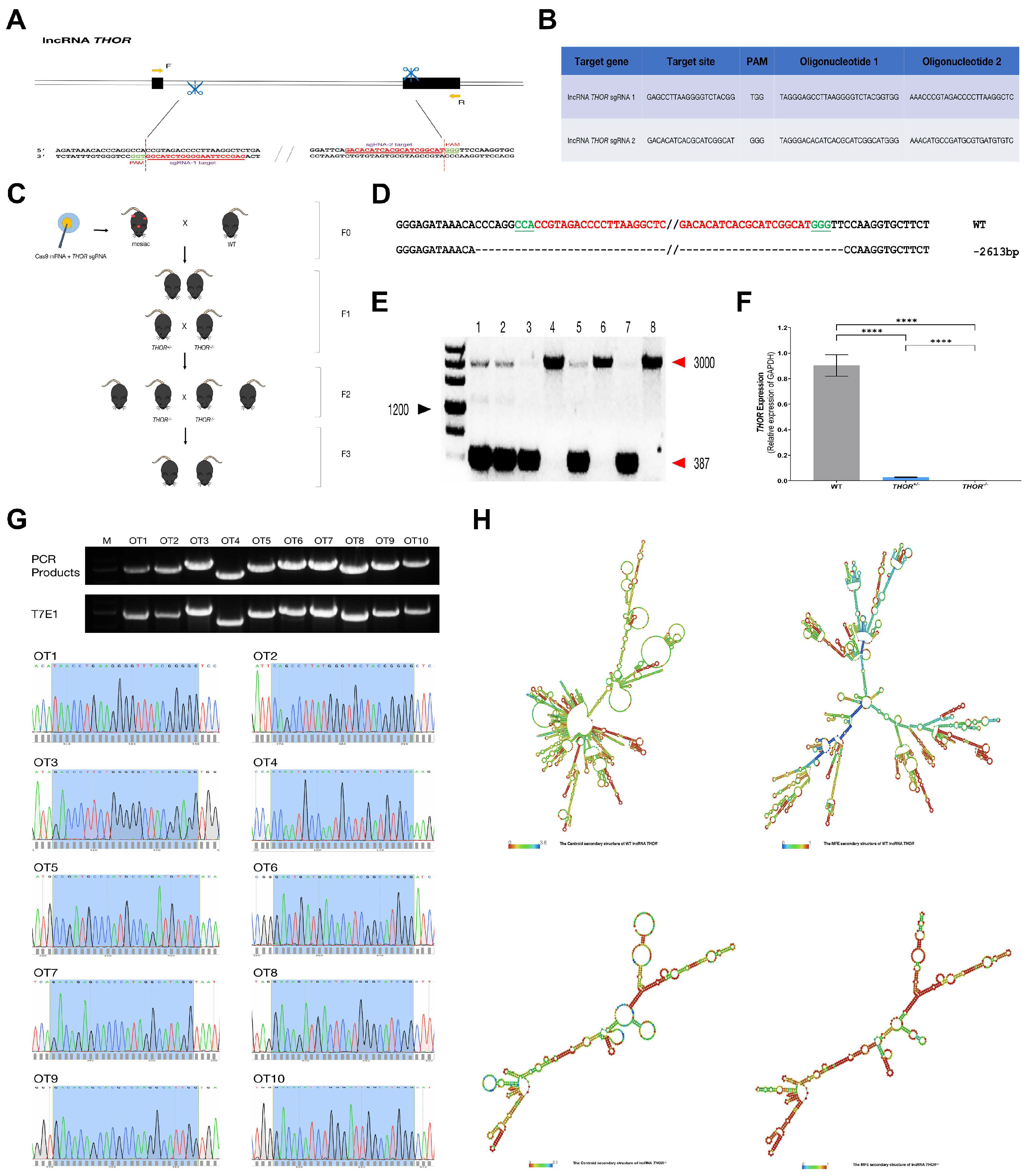 Biomedicines 09 00859 g002