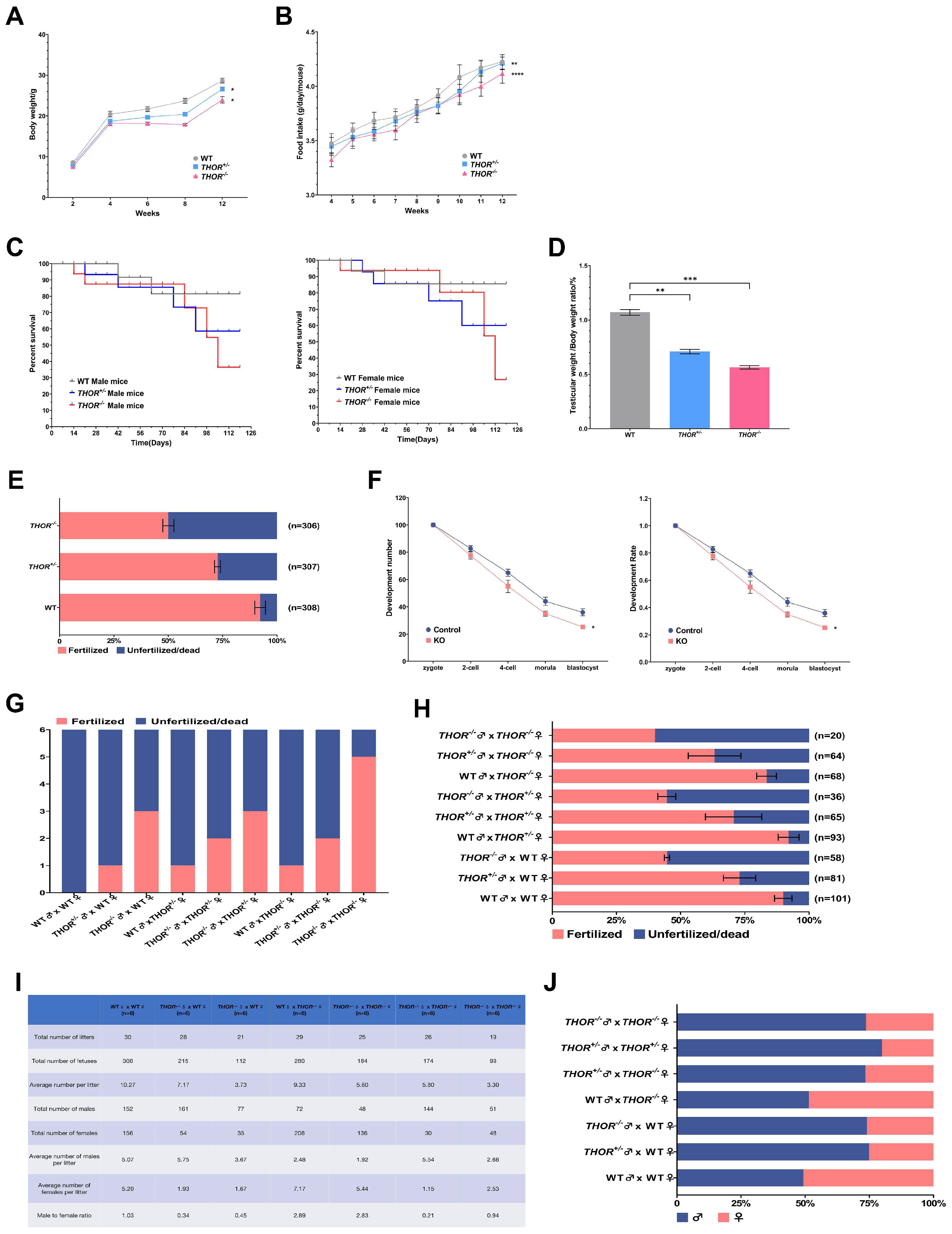 Biomedicines 09 00859 g003