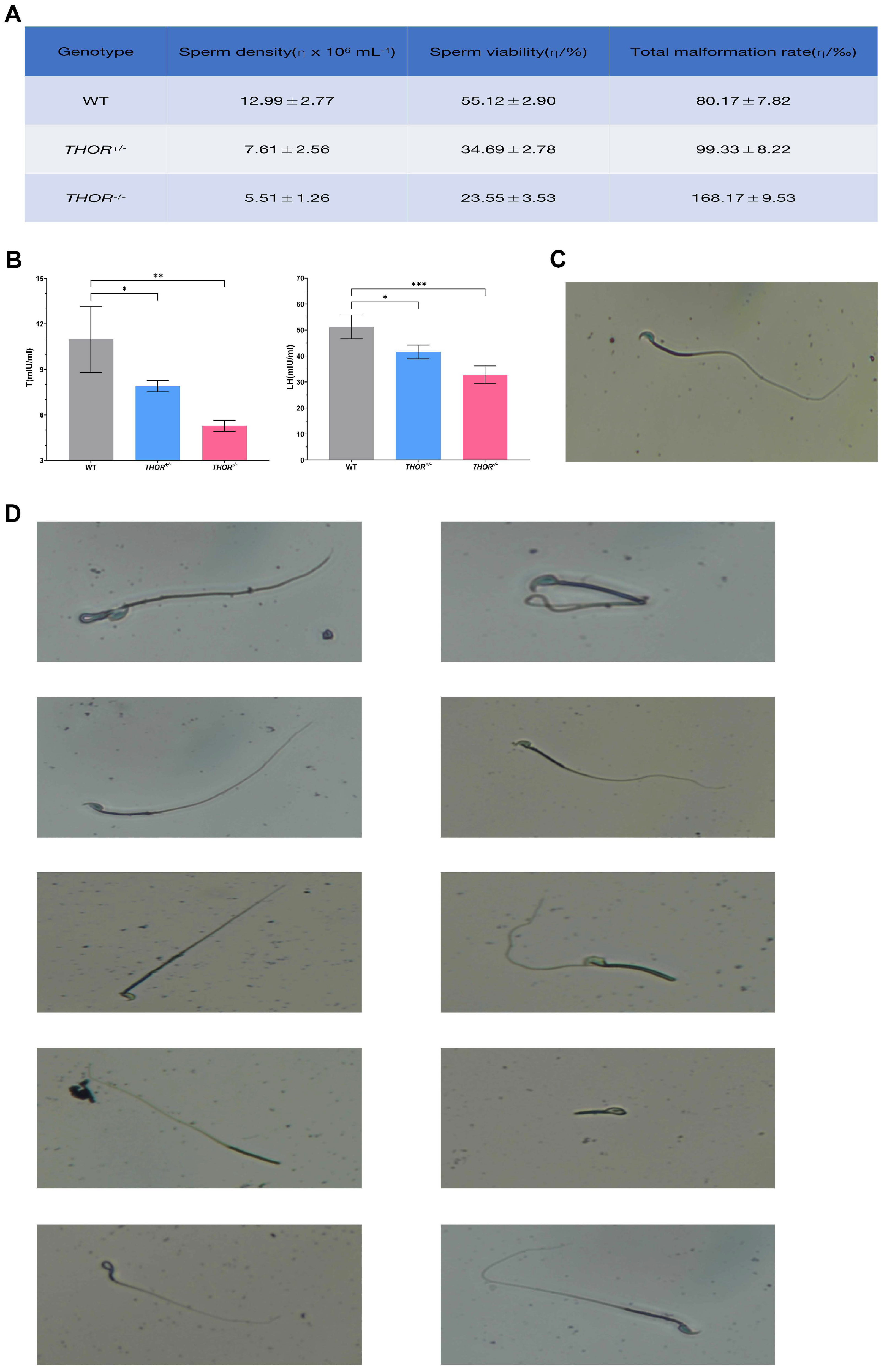 Biomedicines 09 00859 g005