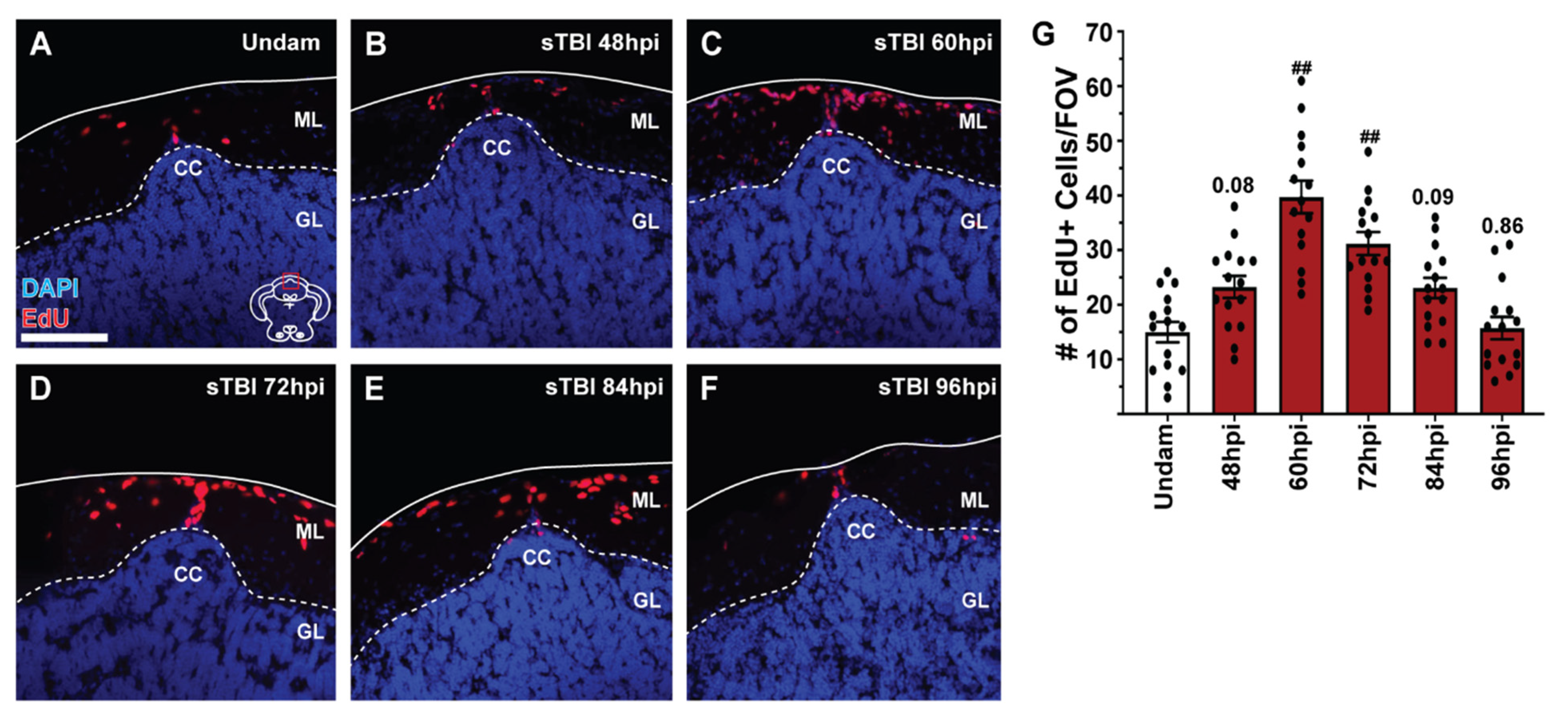 Biomedicines 09 00861 g007