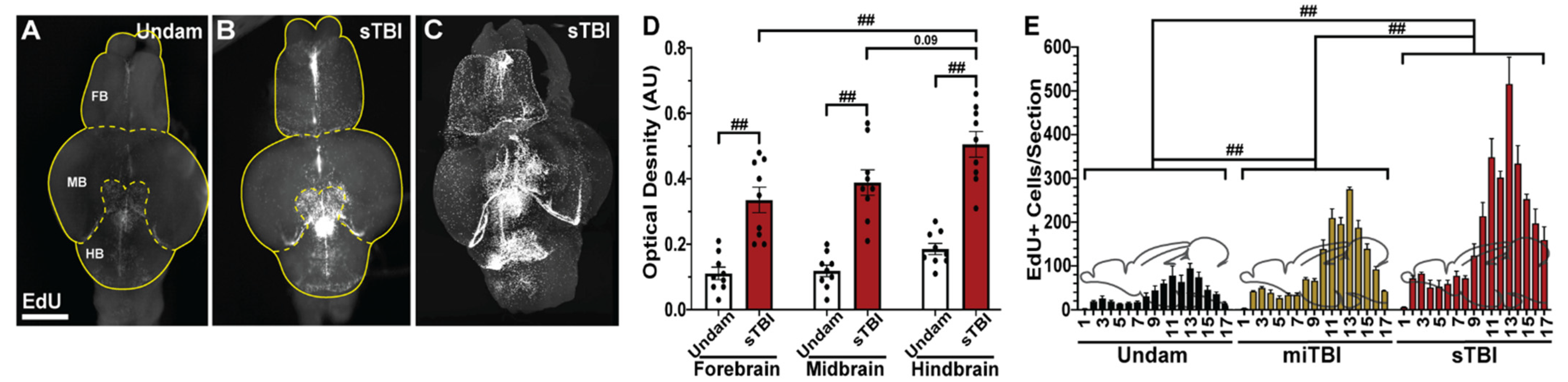 Biomedicines 09 00861 g008
