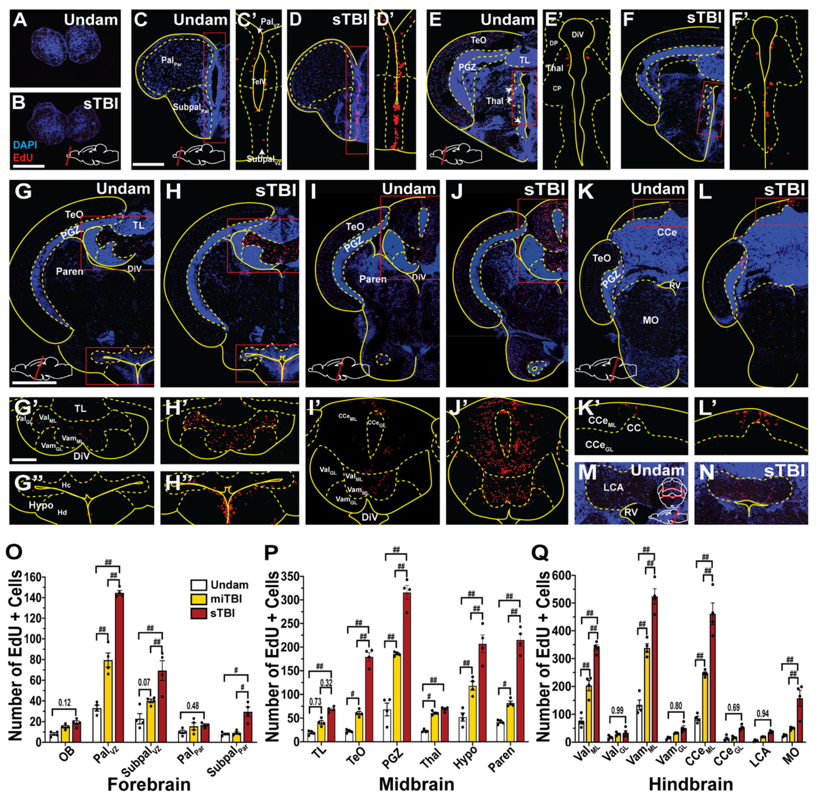 Biomedicines 09 00861 g009
