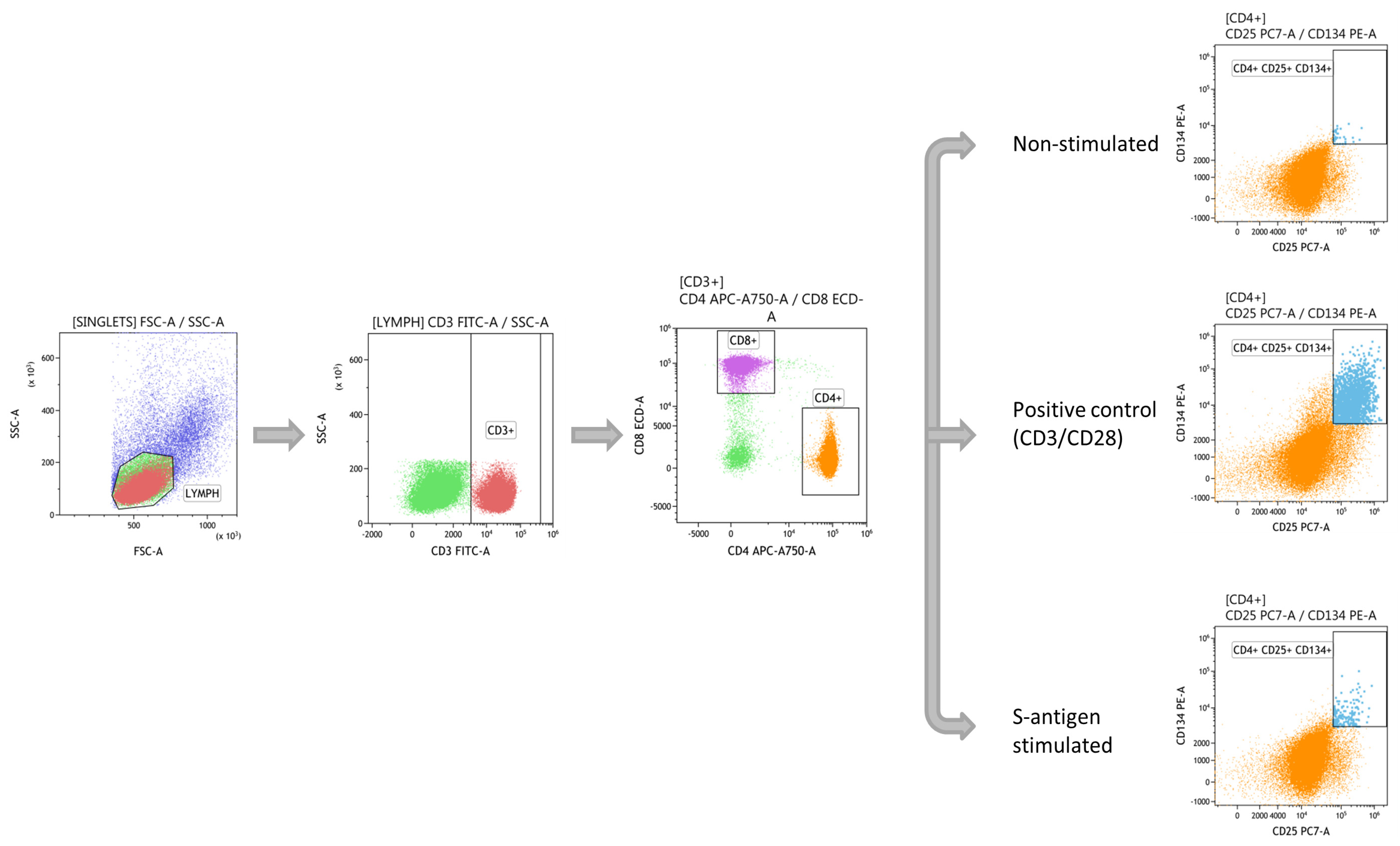 Biomedicines 09 00868 g002