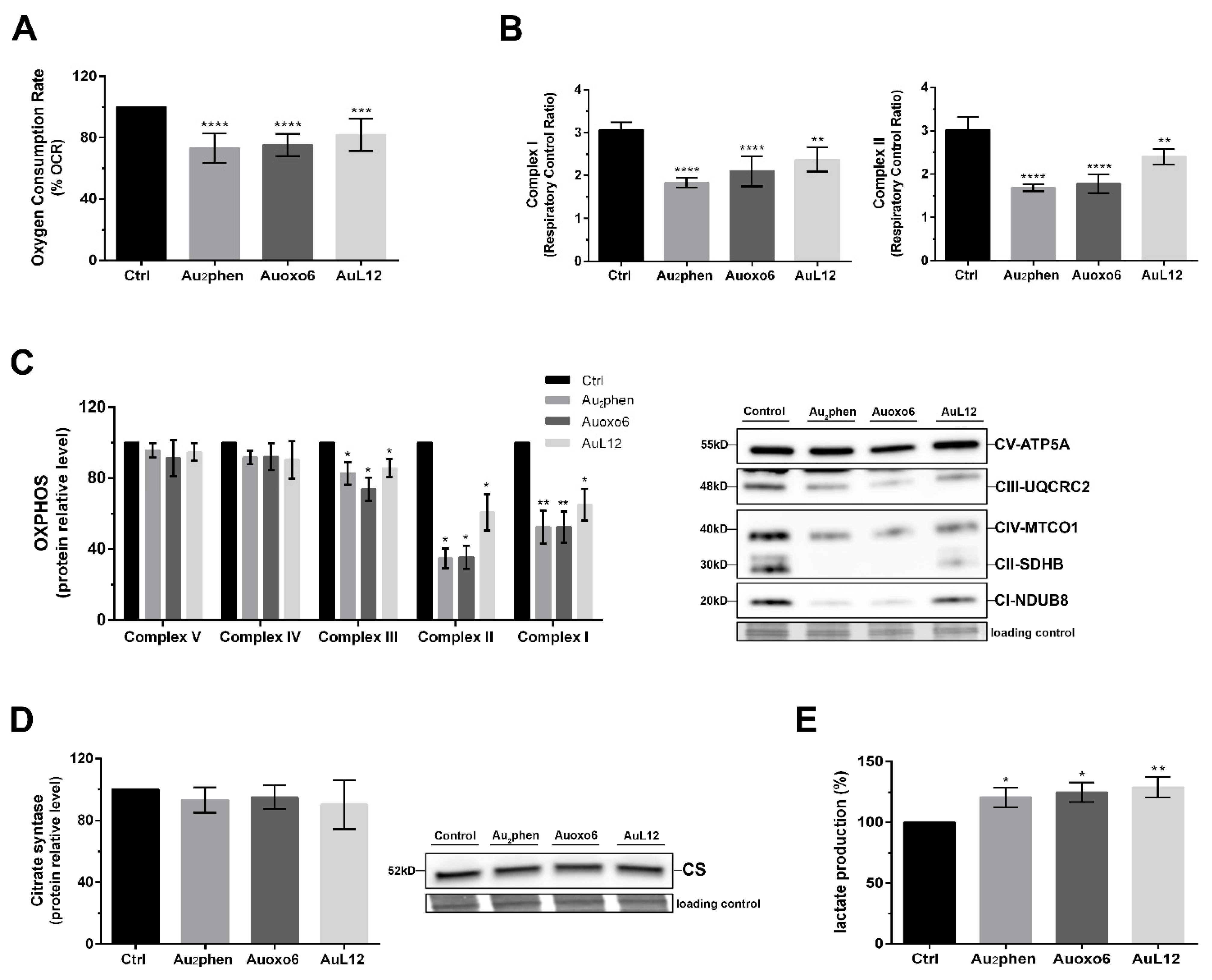 Biomedicines 09 00871 g005 550