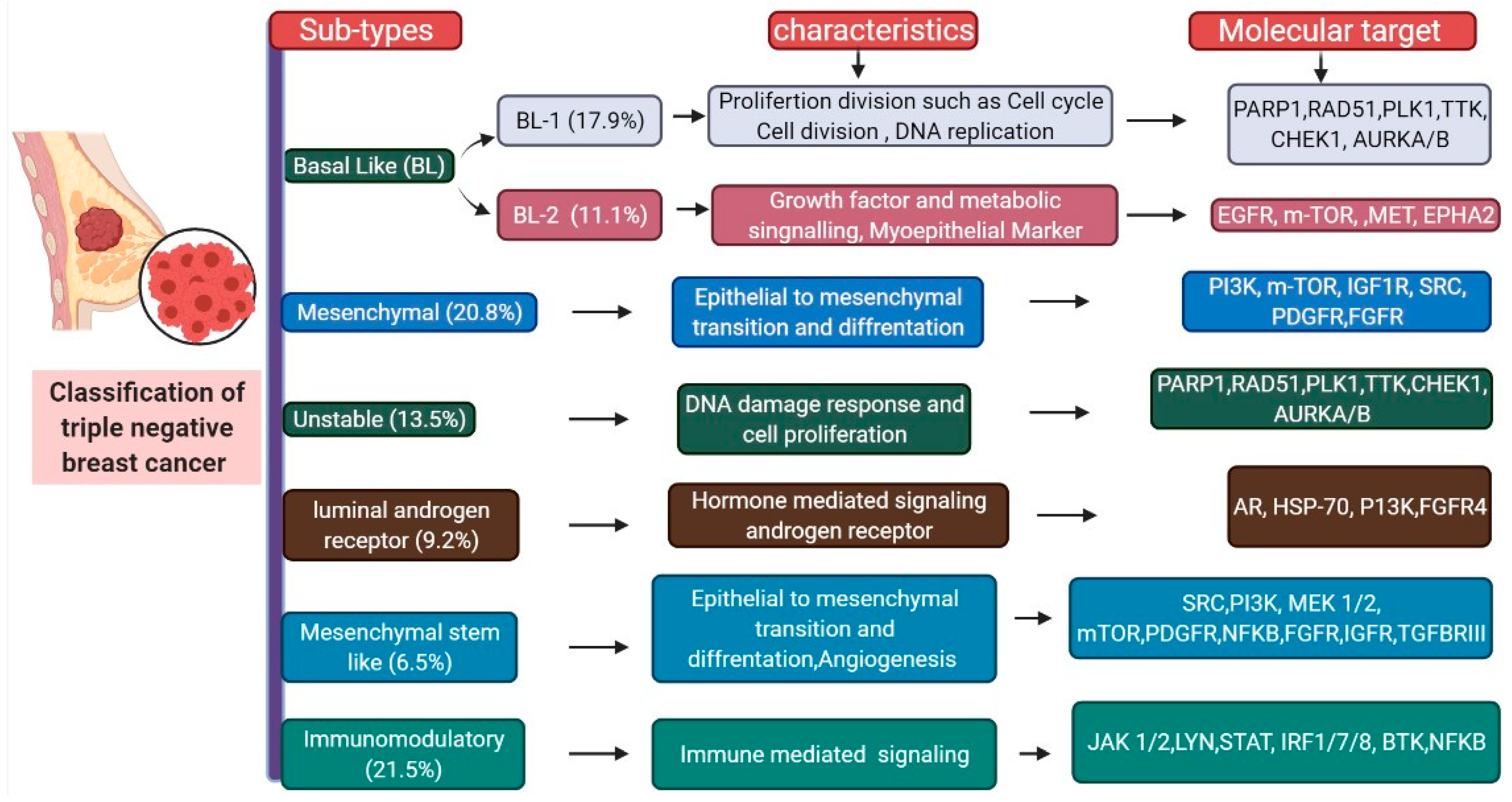 Biomedicines 09 00876 g002
