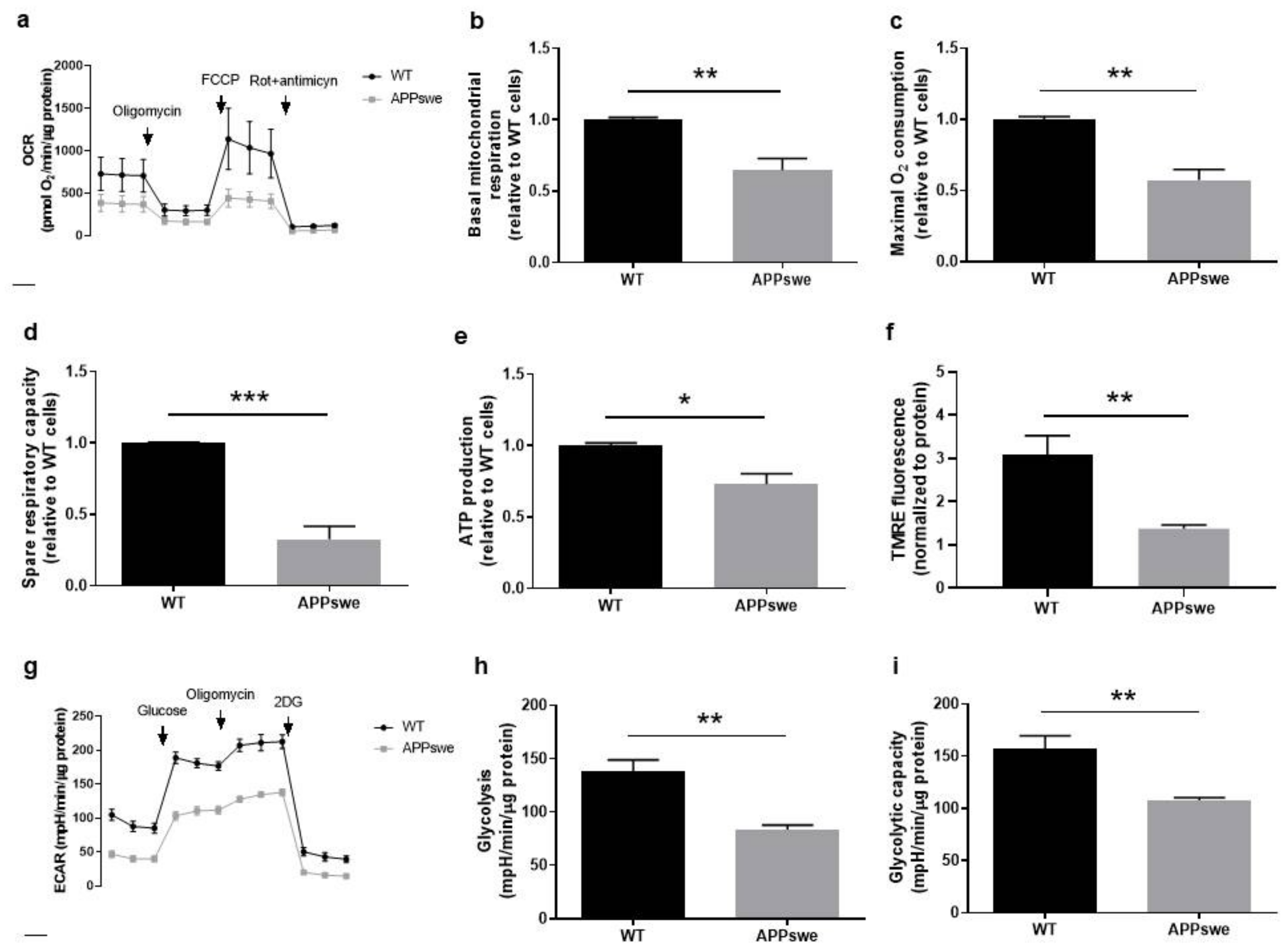 Biomedicines 09 00881 g003