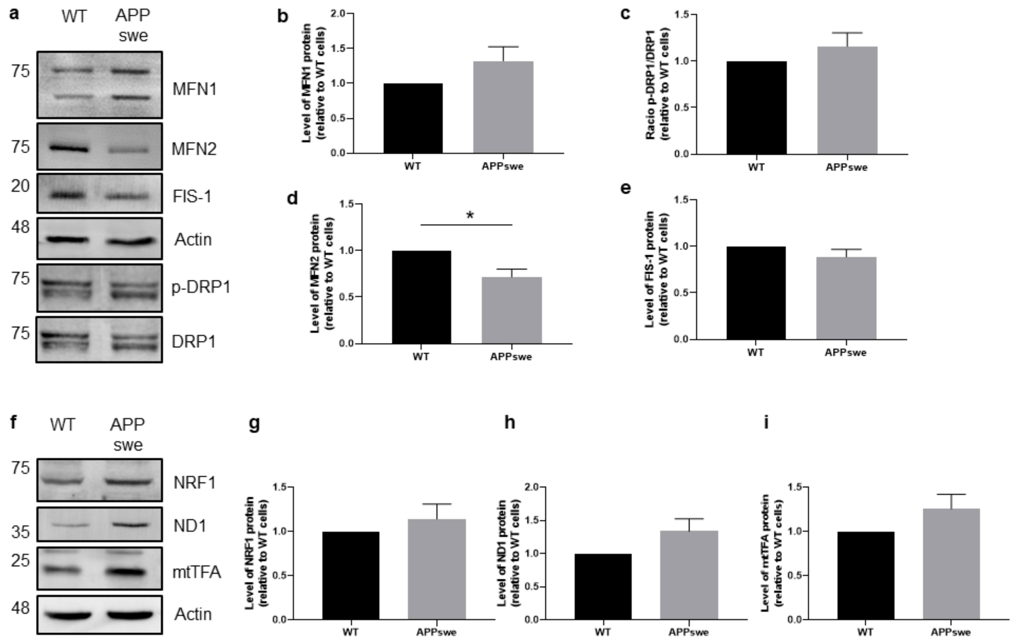 Biomedicines 09 00881 g004