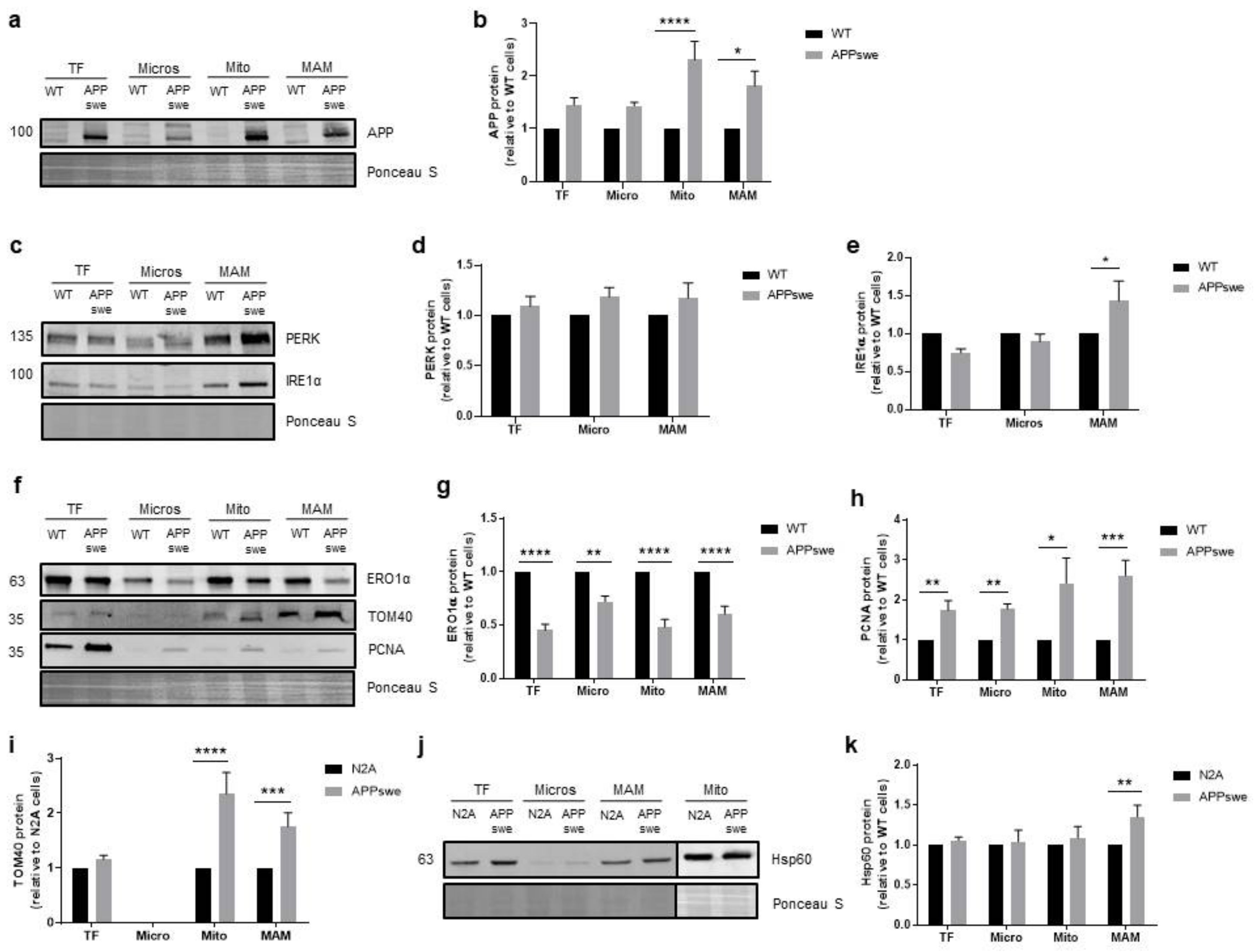 Biomedicines 09 00881 g005