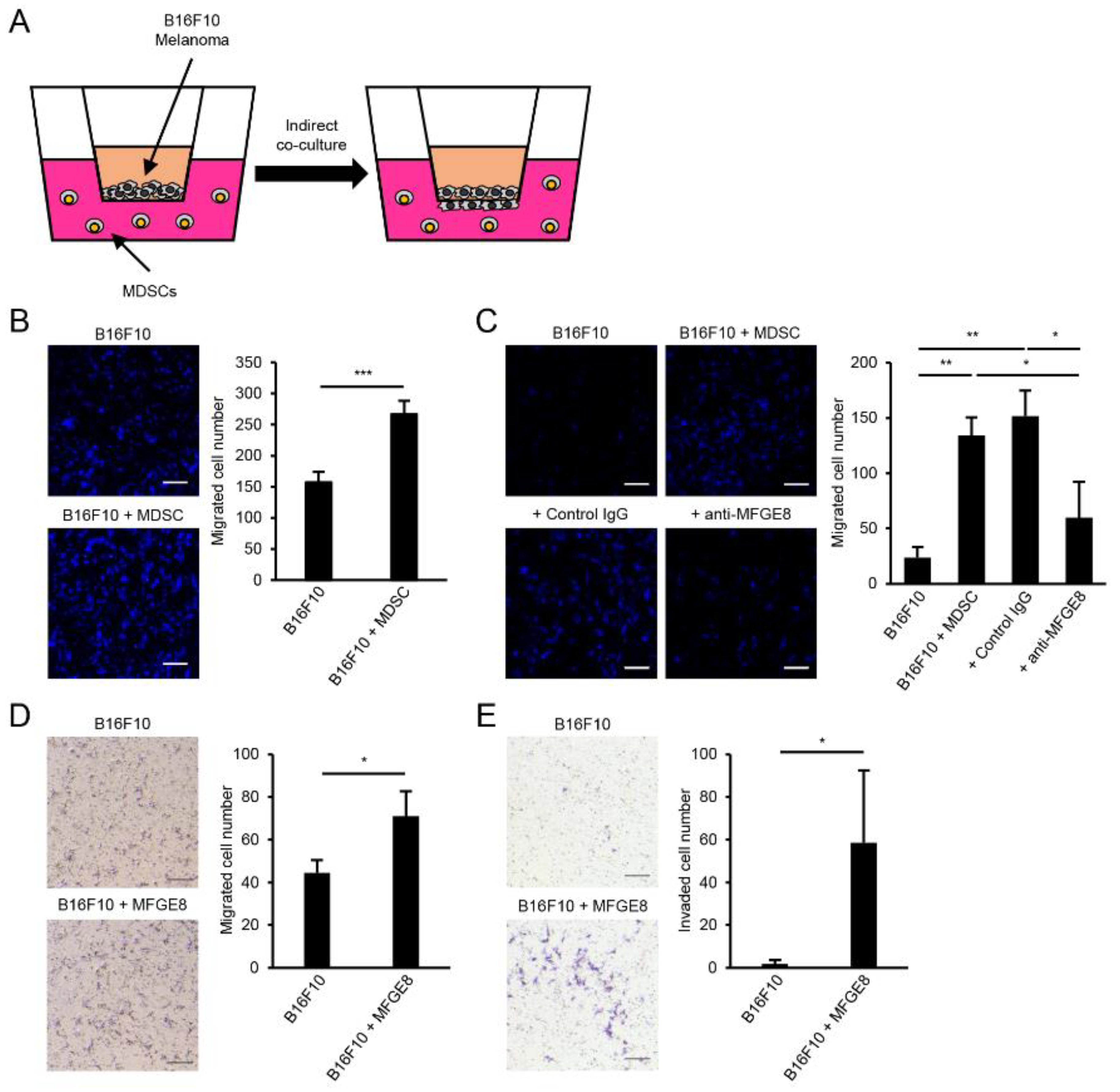 Biomedicines 09 00896 g005 Biomedicines 09 00896 g005