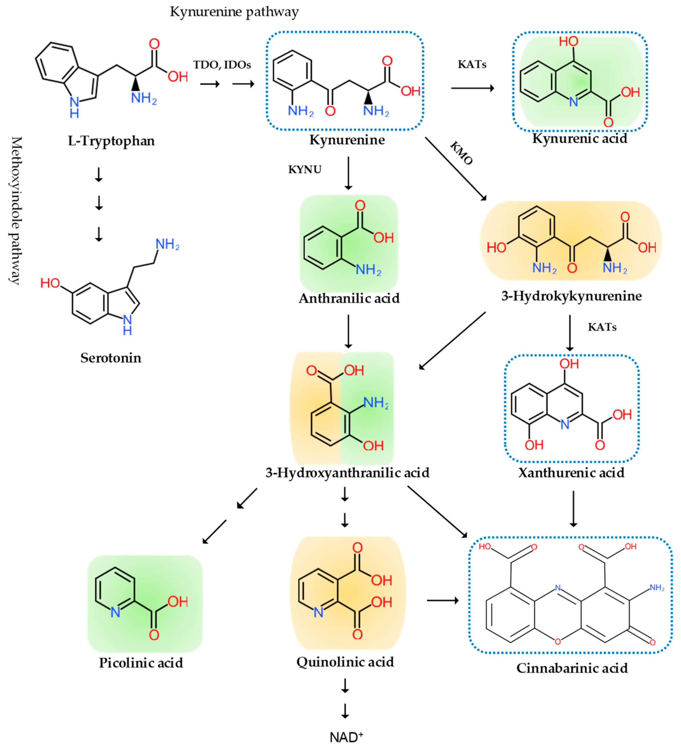 Biomedicines 09 00897 g003 550