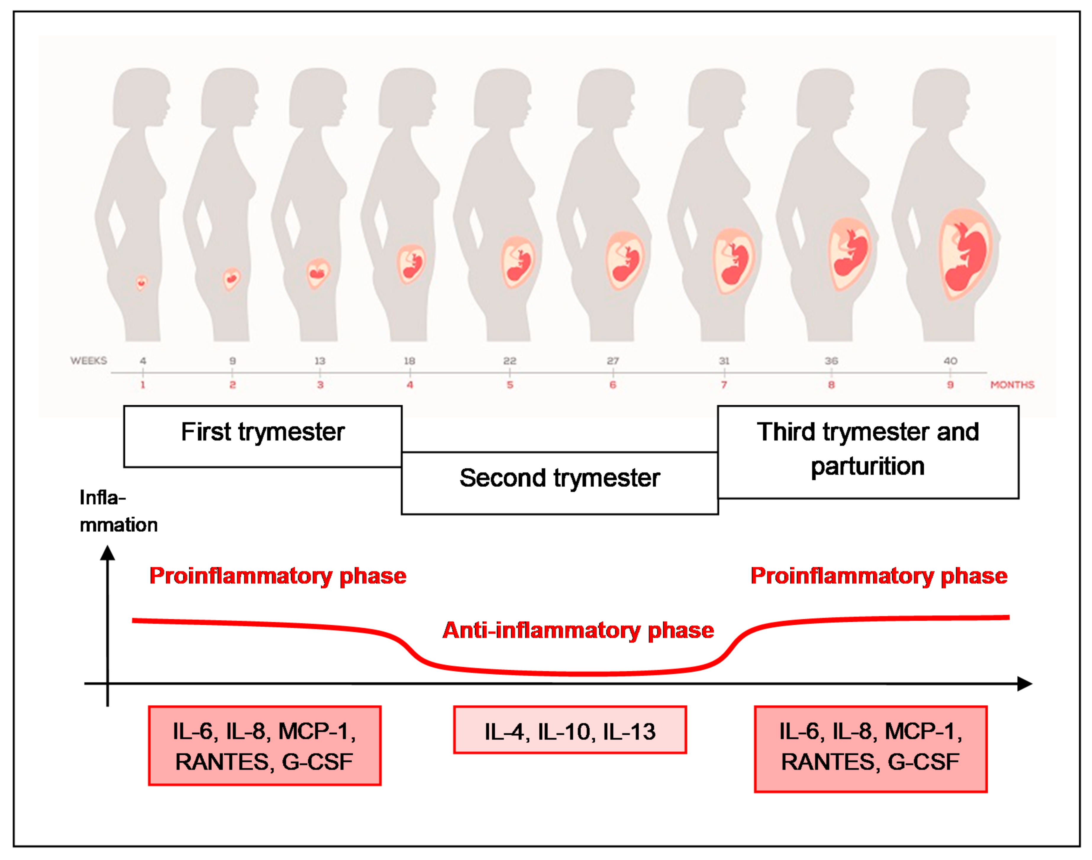 Biomedicines 09 00898 g004