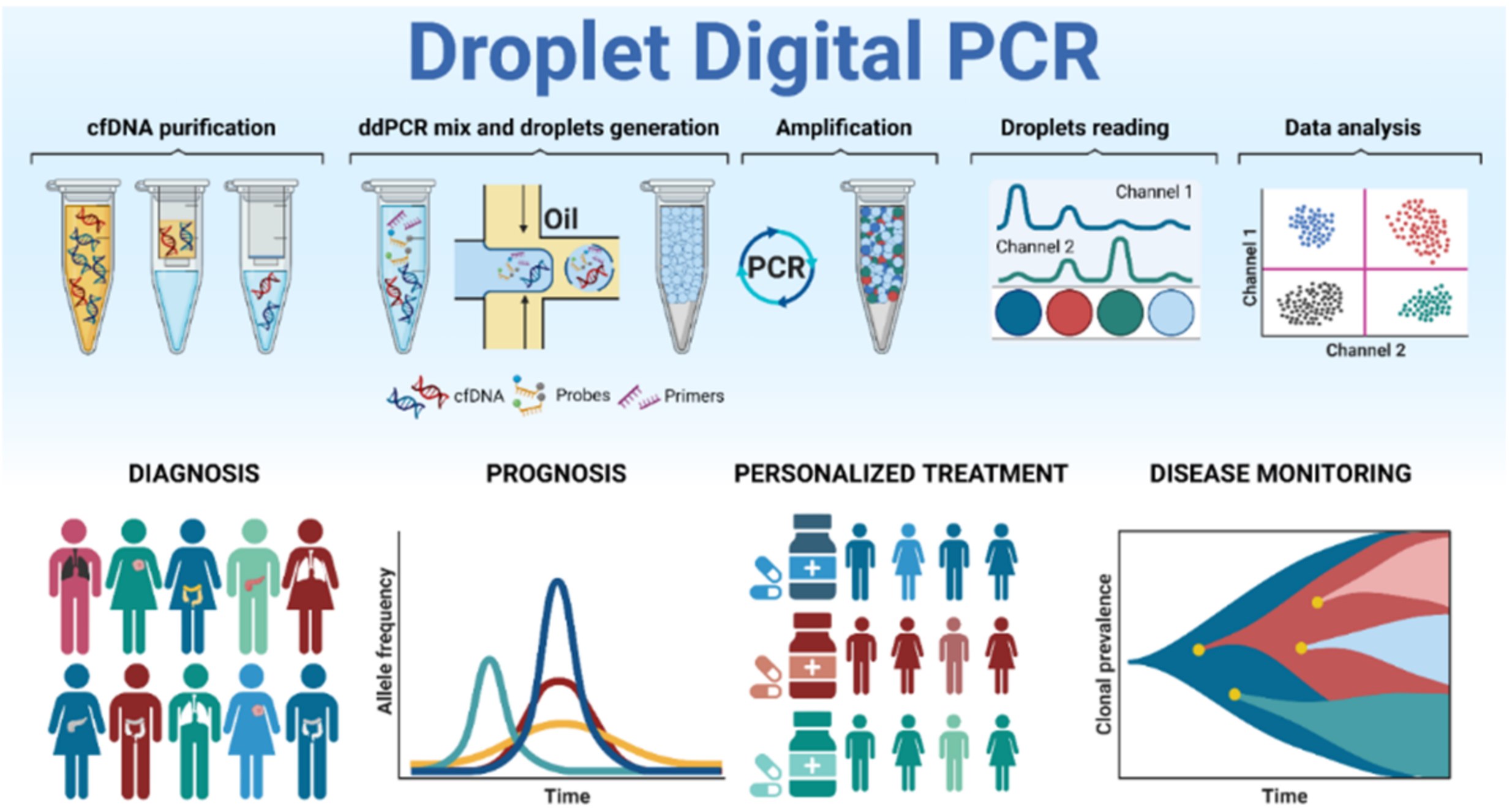 Biomedicines 09 00906 g002