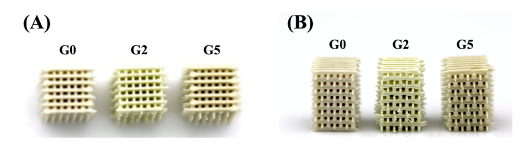 Biomedicines 09 00907 g001