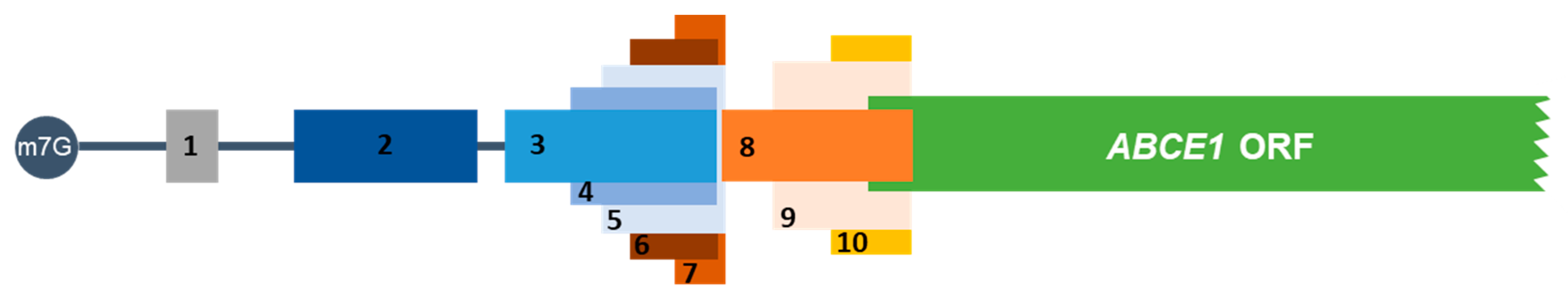 Biomedicines 09 00911 g001 550