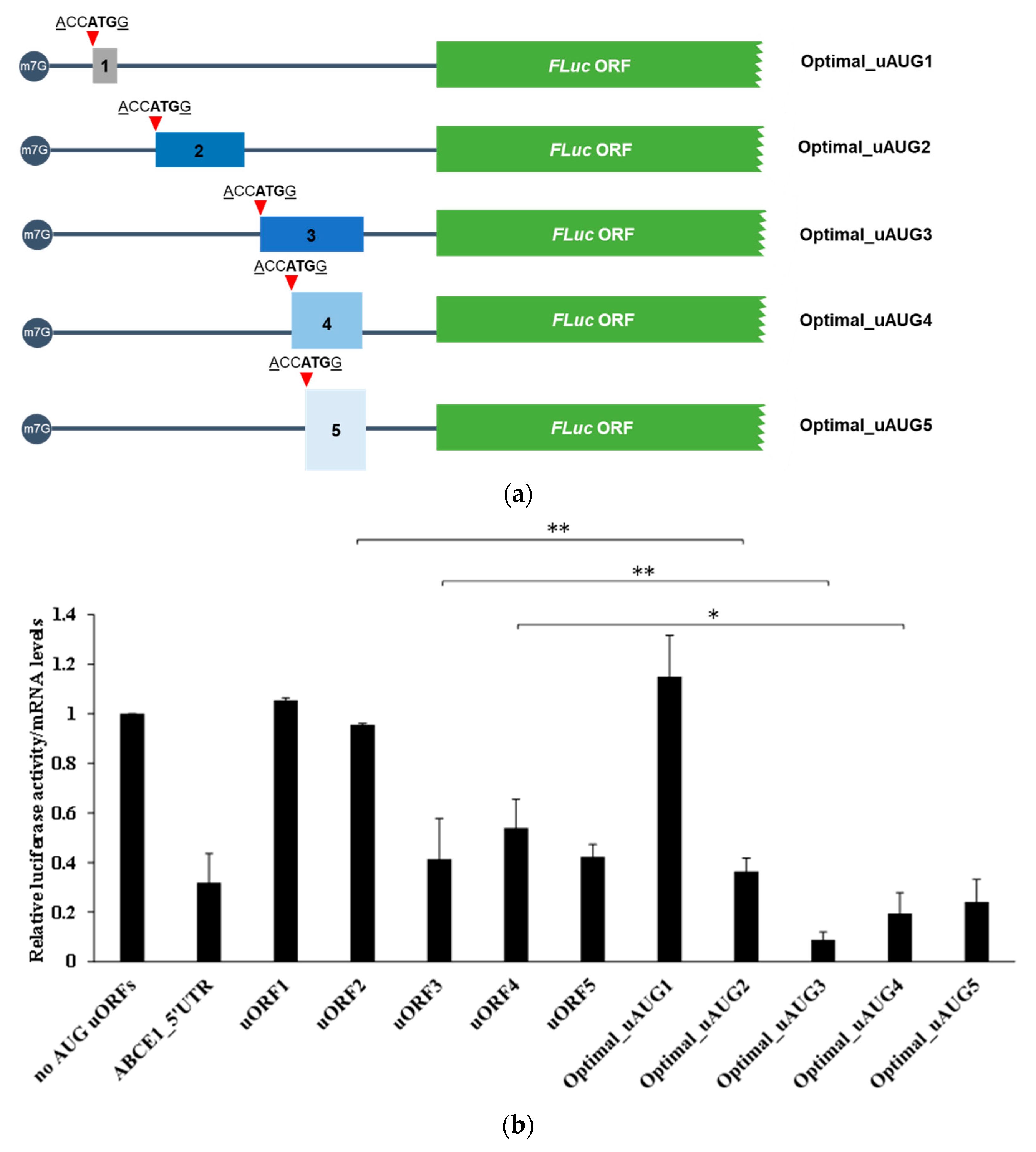 Biomedicines 09 00911 g007 550