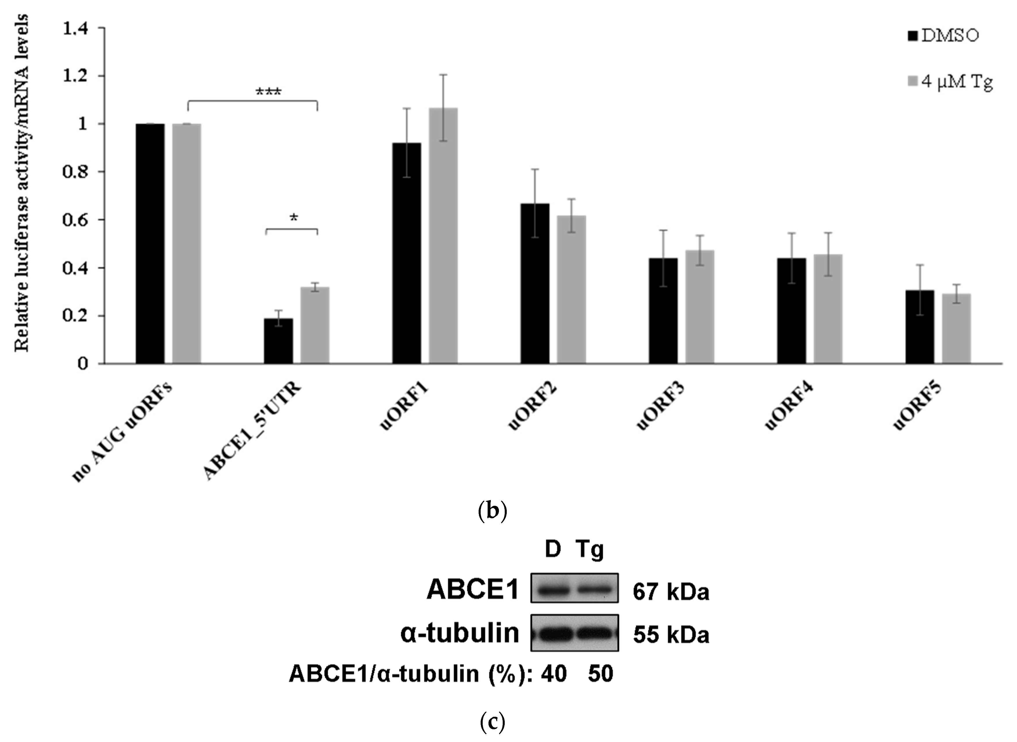 Biomedicines 09 00911 g009b 550