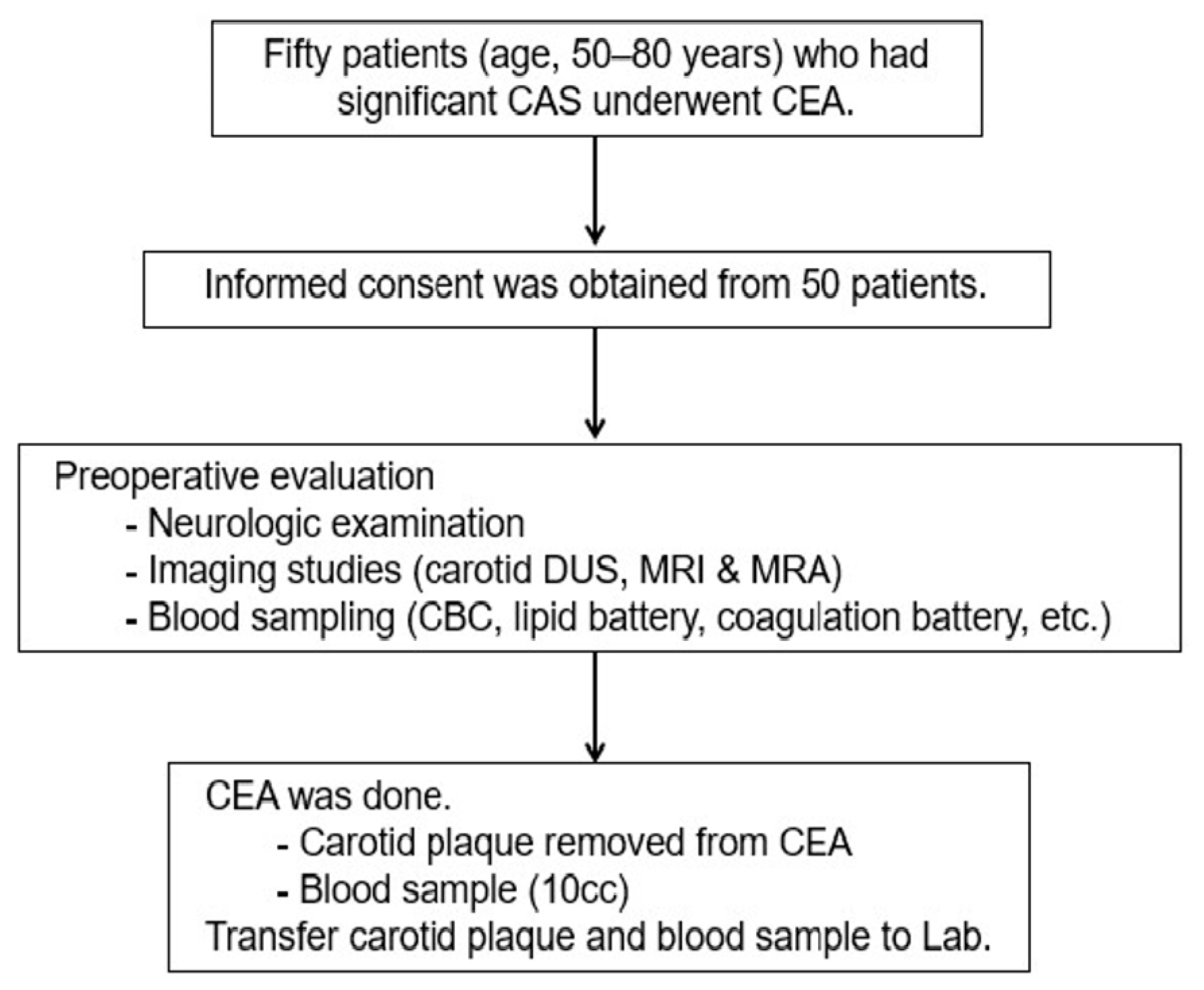 Biomedicines 09 00920 g001
