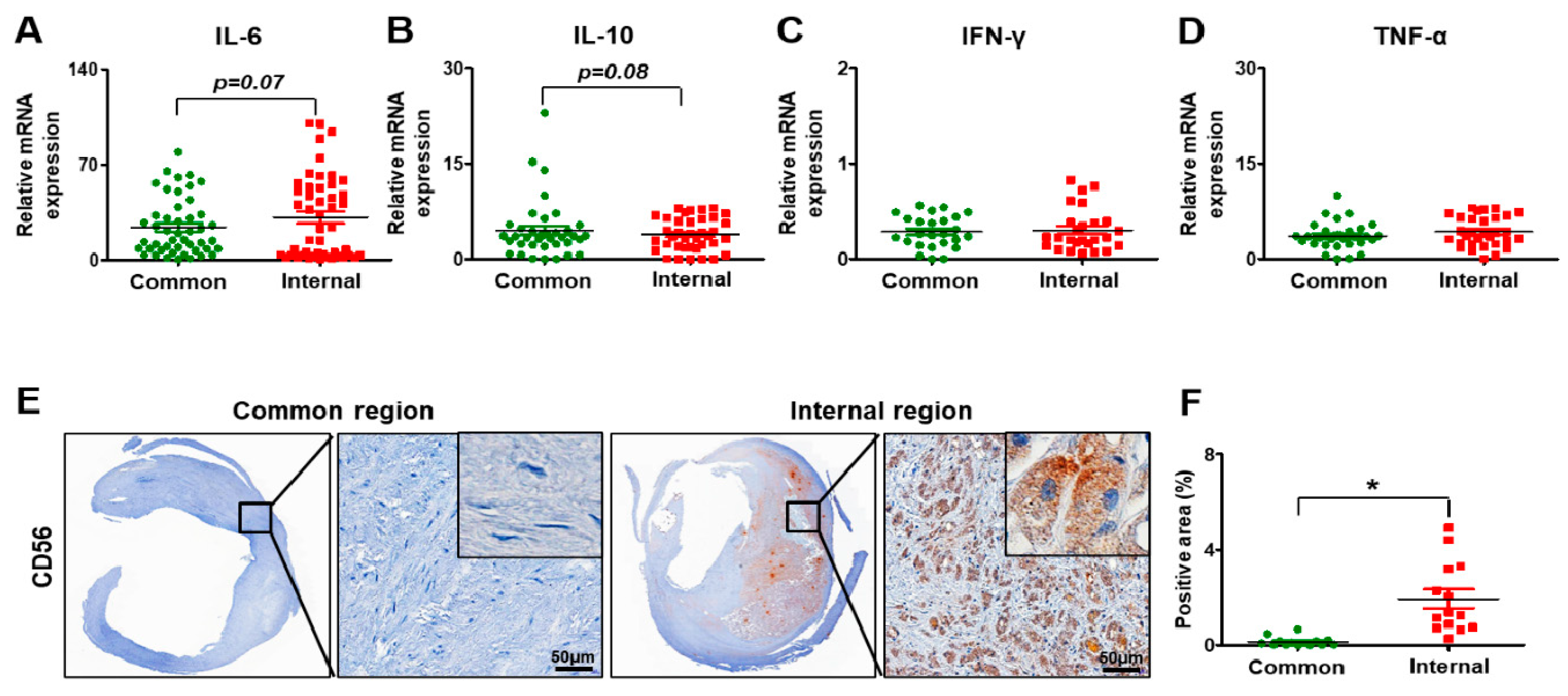Biomedicines 09 00920 g004