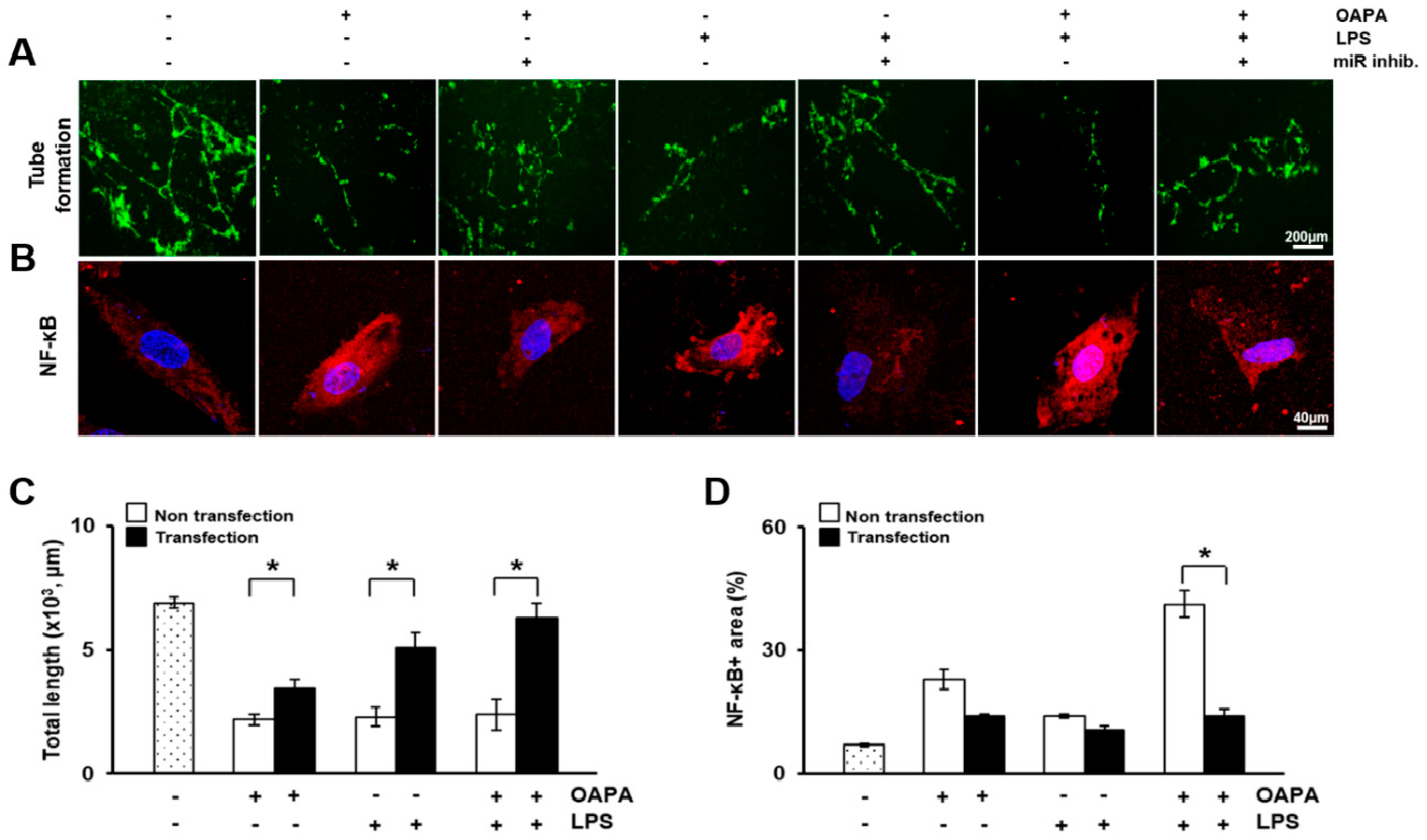 Biomedicines 09 00920 g009