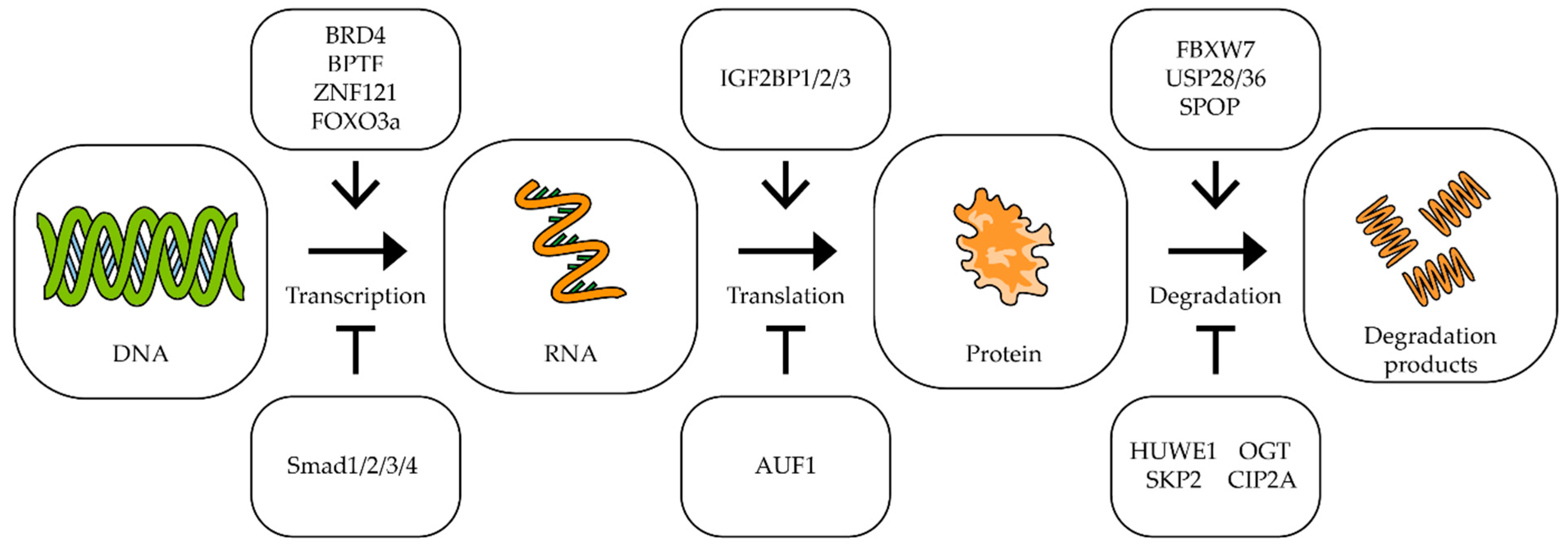 Biomedicines 09 00921 g002 Biomedicines 09 00921 g002