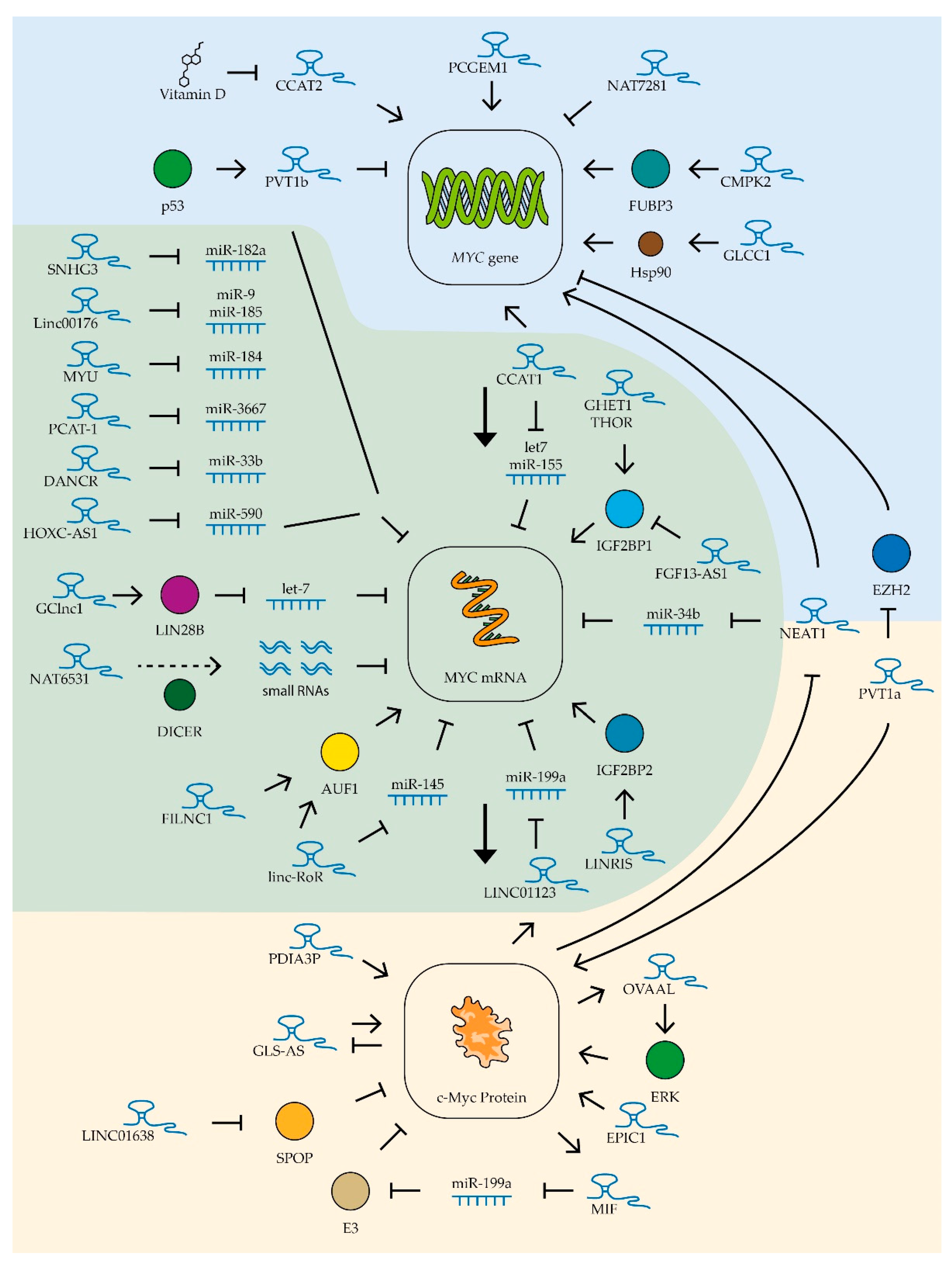Biomedicines 09 00921 g004 Biomedicines 09 00921 g004