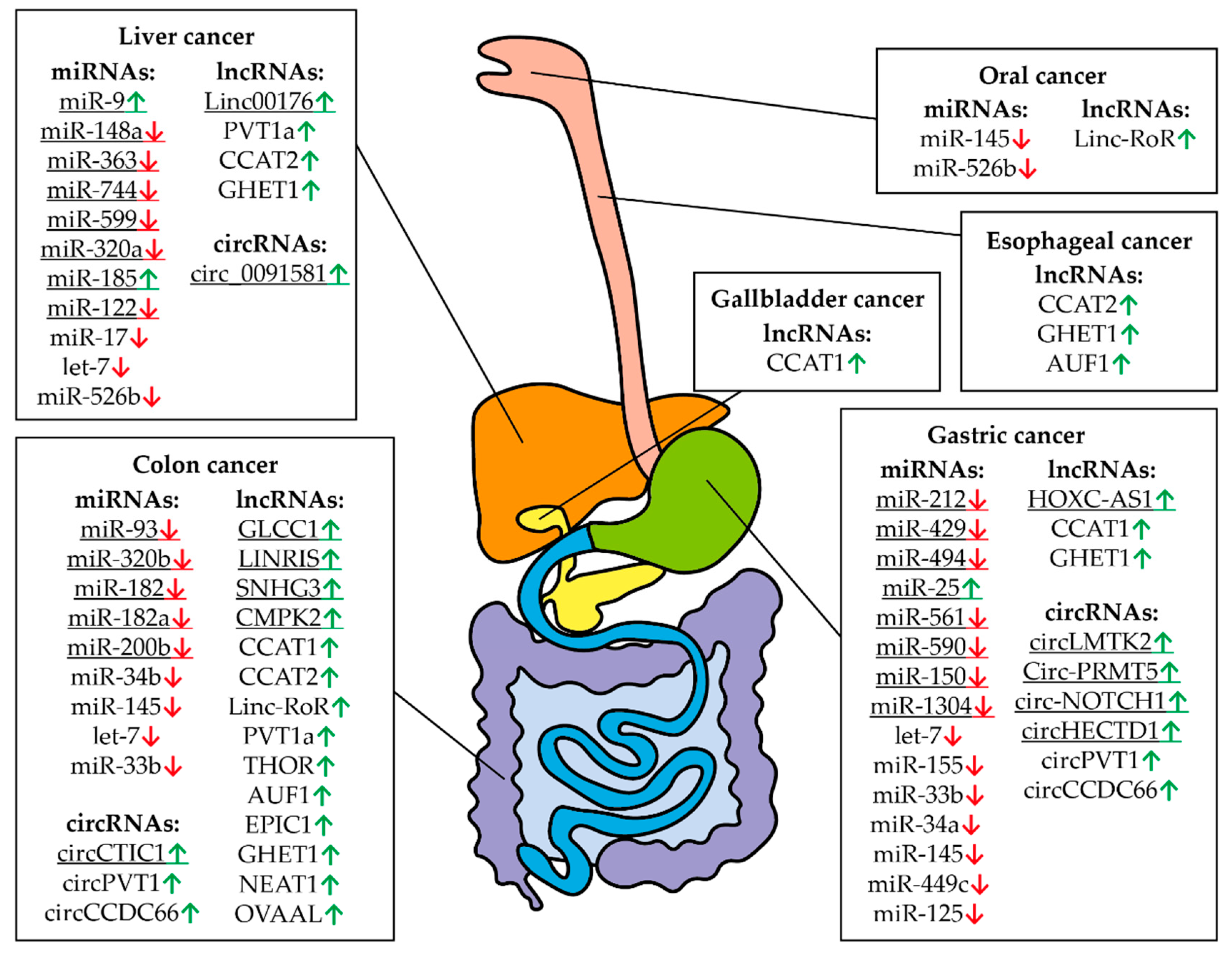 Biomedicines 09 00921 g007 Biomedicines 09 00921 g007