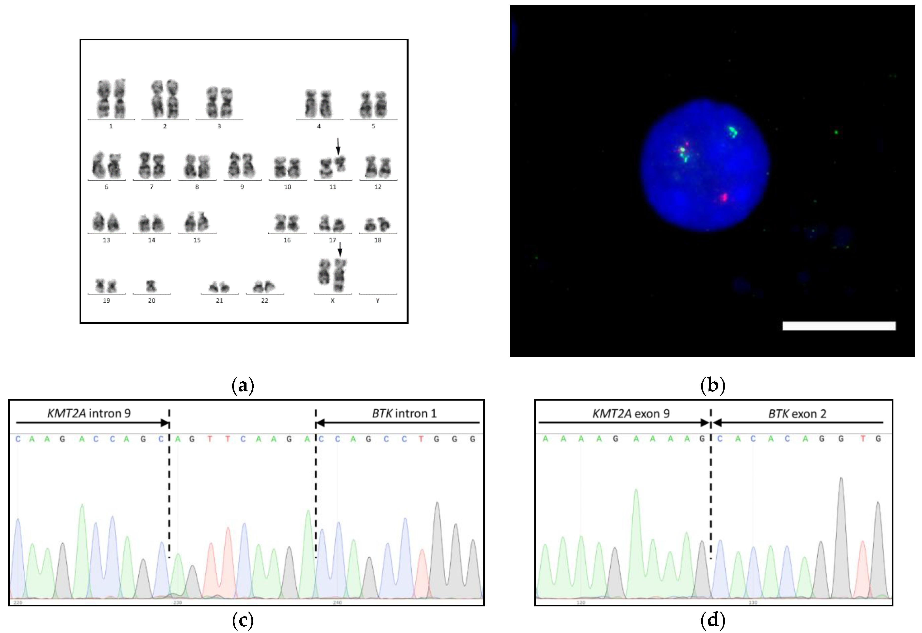 Biomedicines 09 00924 g001 Biomedicines 09 00924 g001