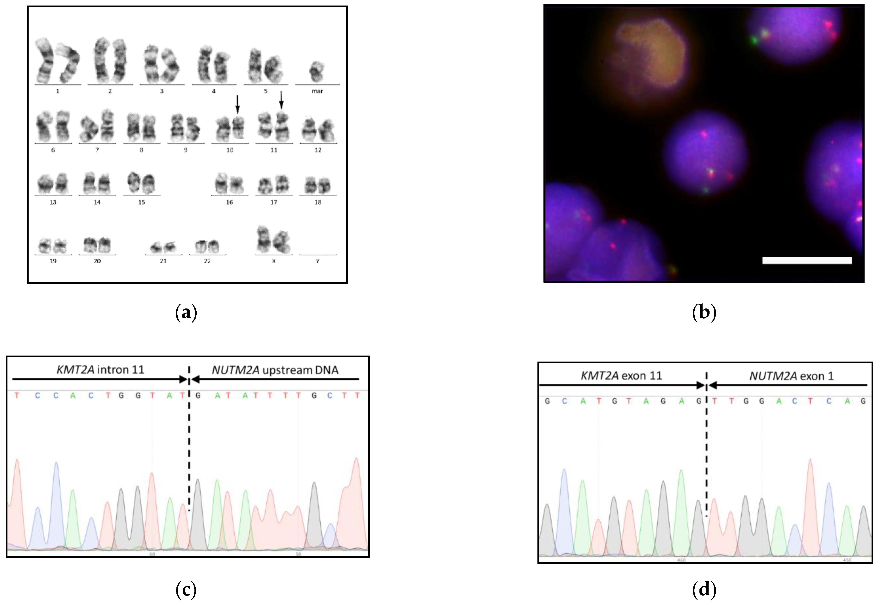Biomedicines 09 00924 g002 Biomedicines 09 00924 g002