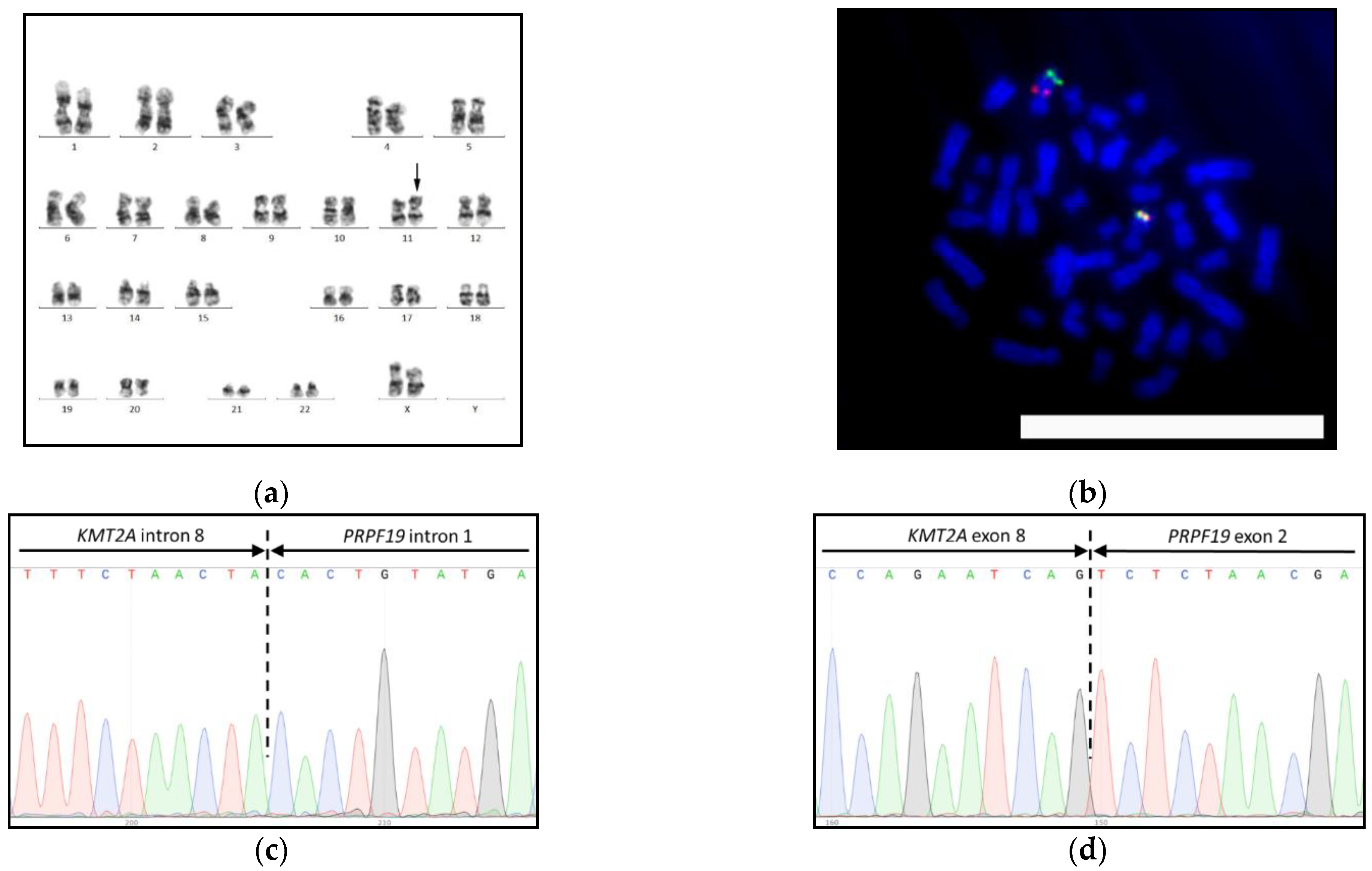 Biomedicines 09 00924 g003 Biomedicines 09 00924 g003