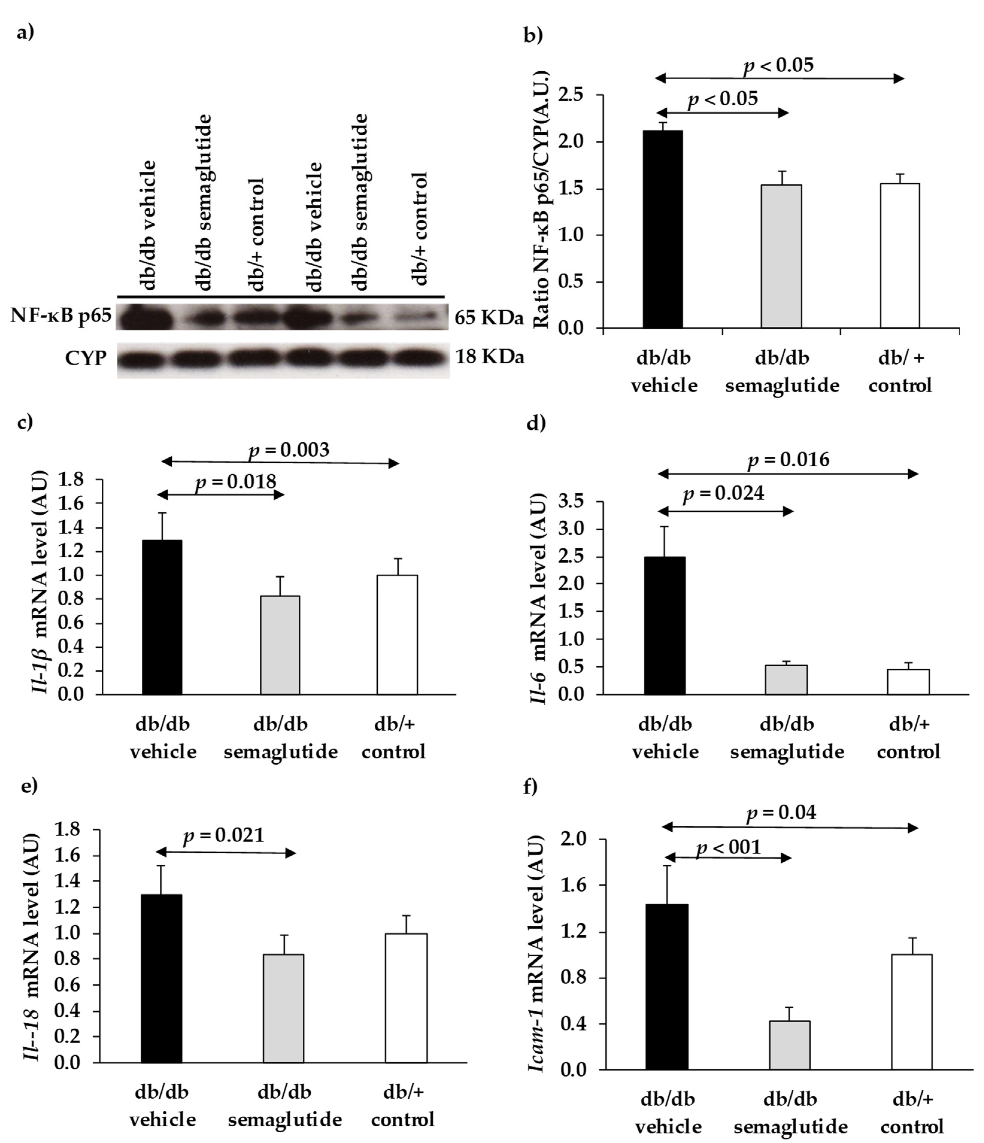 Biomedicines 09 00926 g005 550