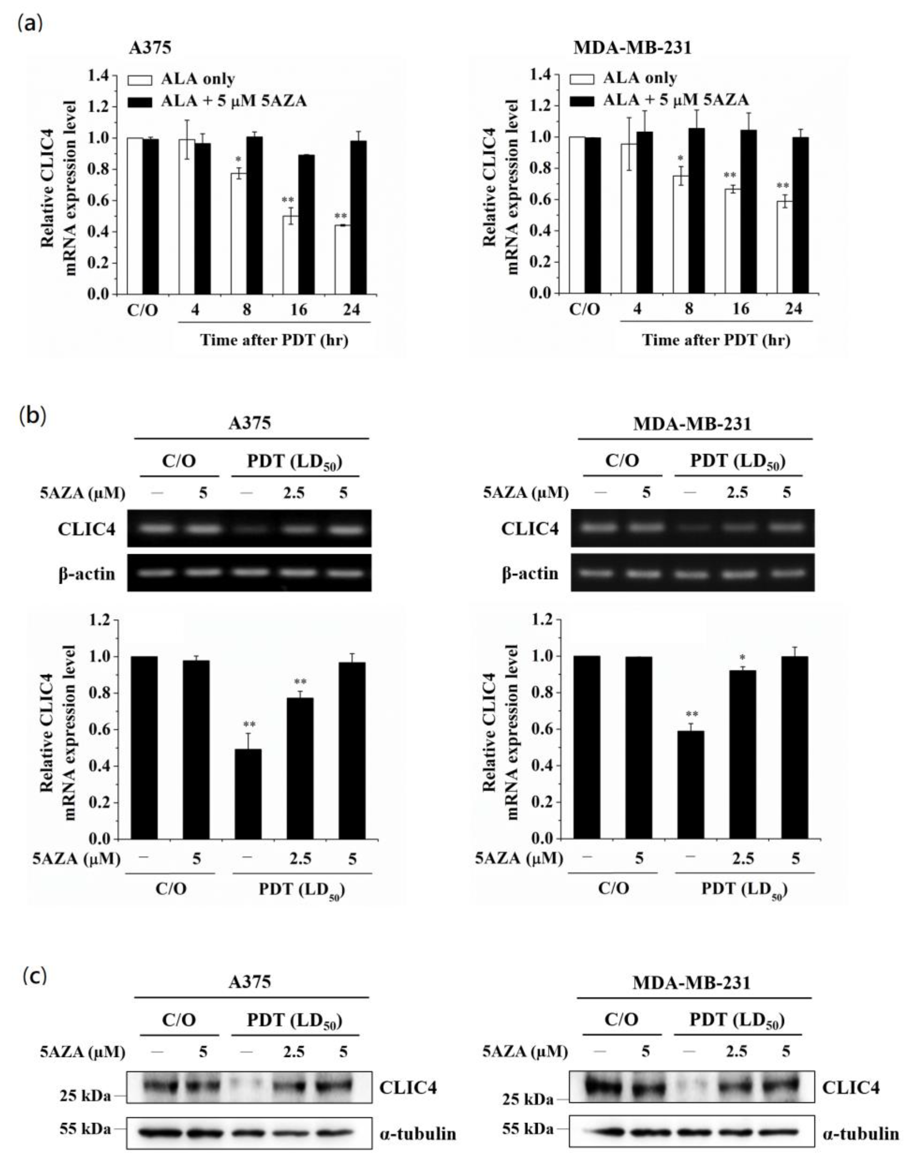 Biomedicines 09 00927 g001 550
