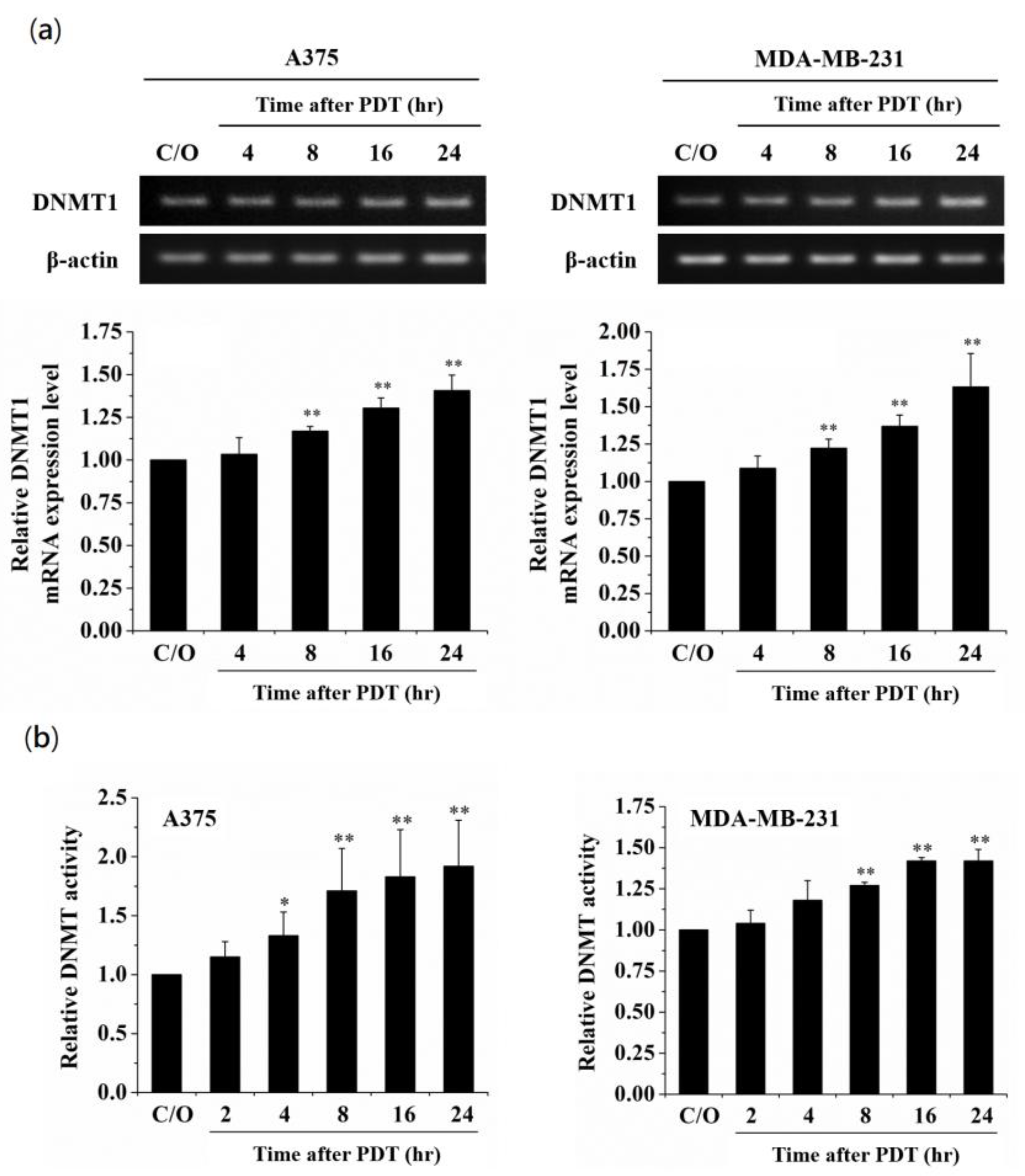 Biomedicines 09 00927 g002 550