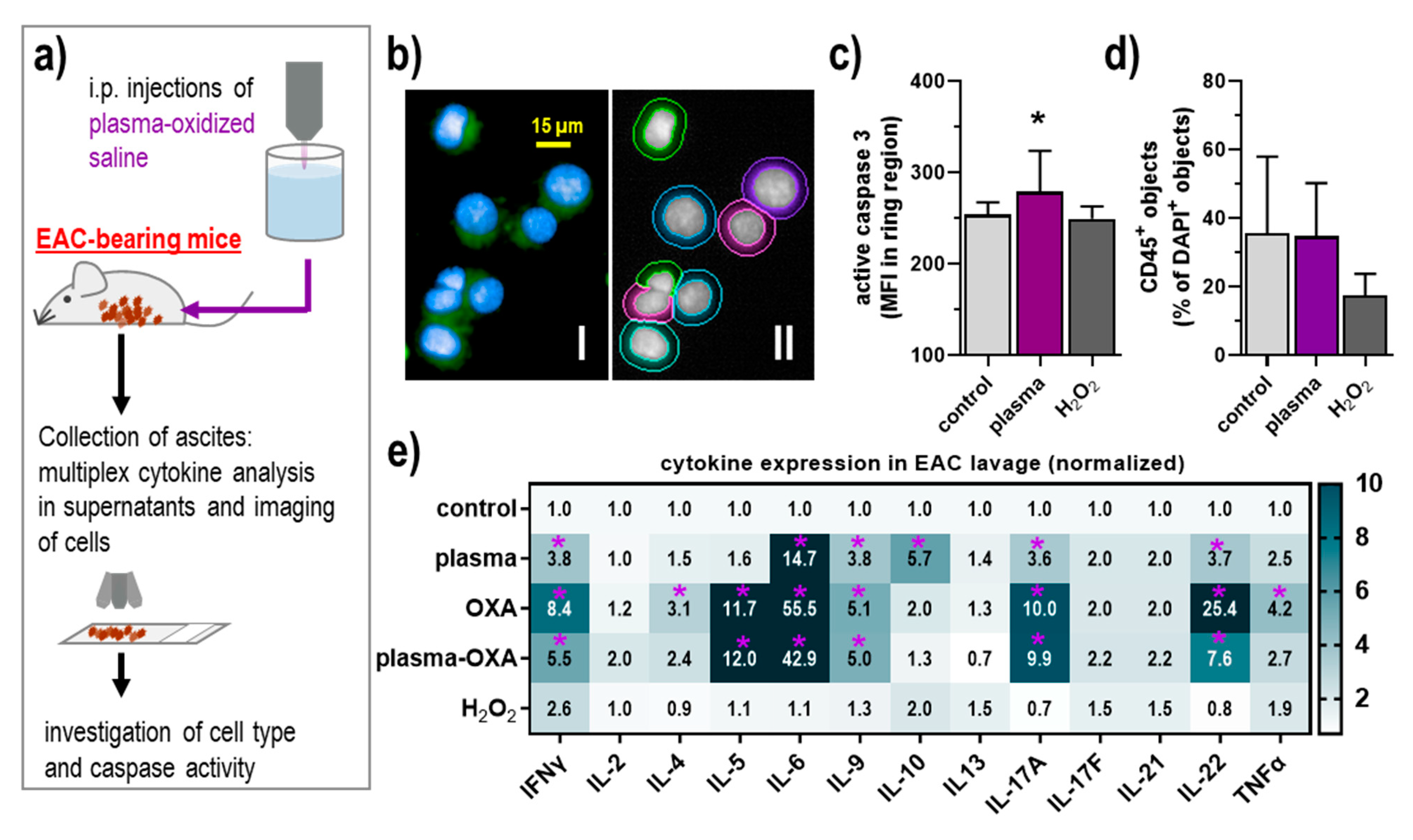 Biomedicines 09 00932 g003
