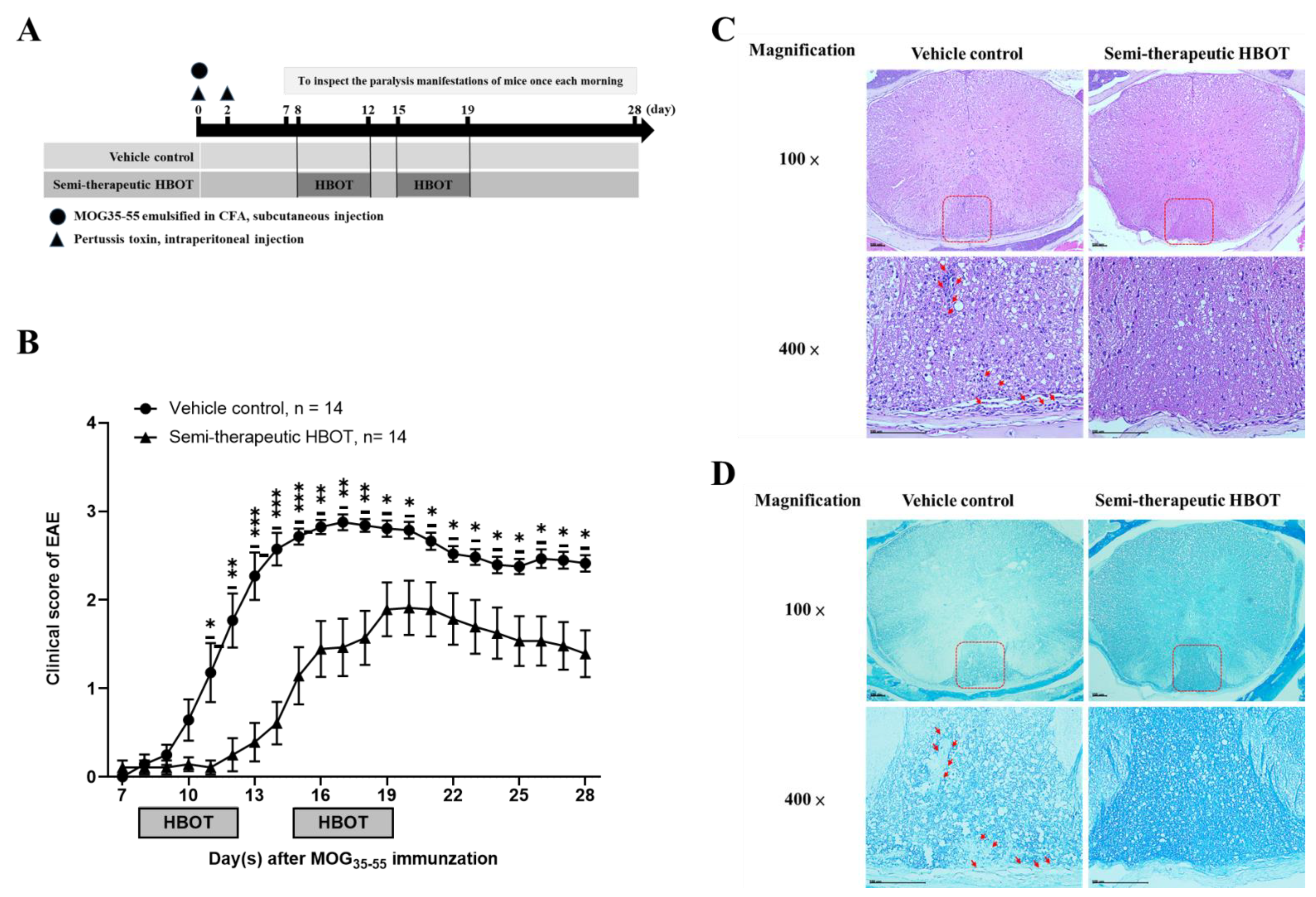 Biomedicines 09 00943 g001 550