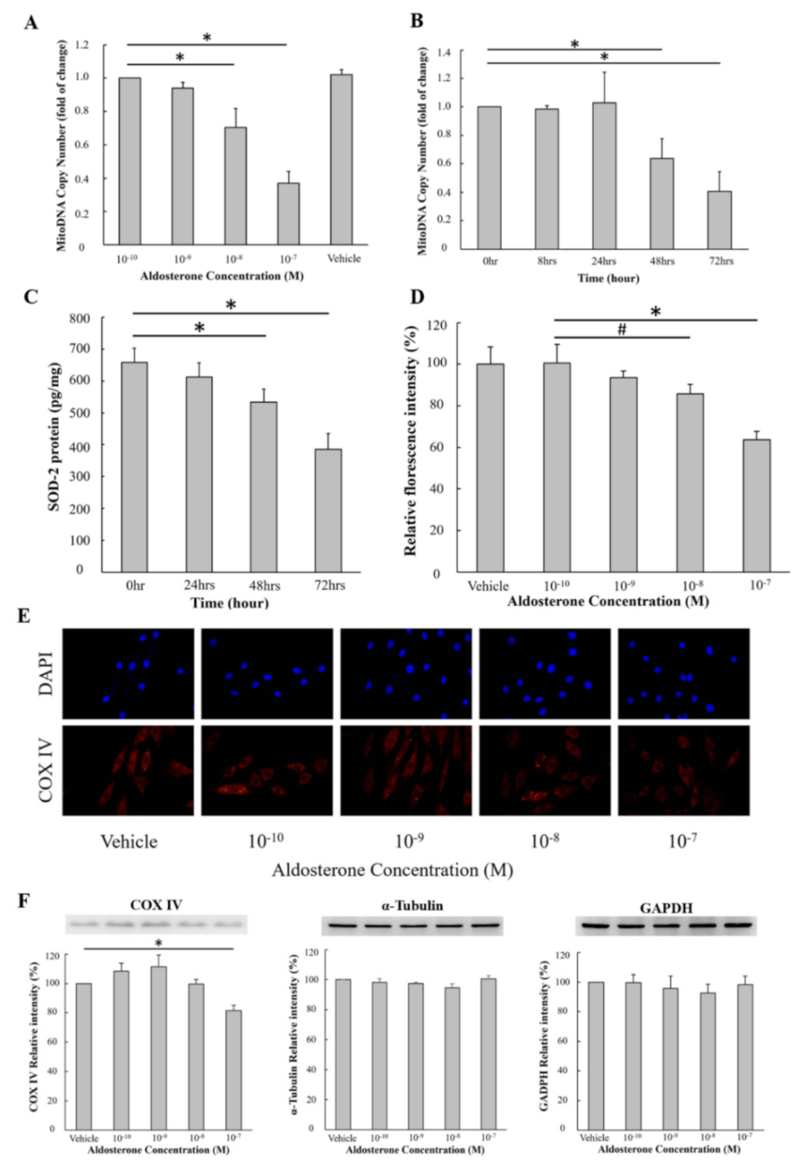 Biomedicines 09 00946 g001 550