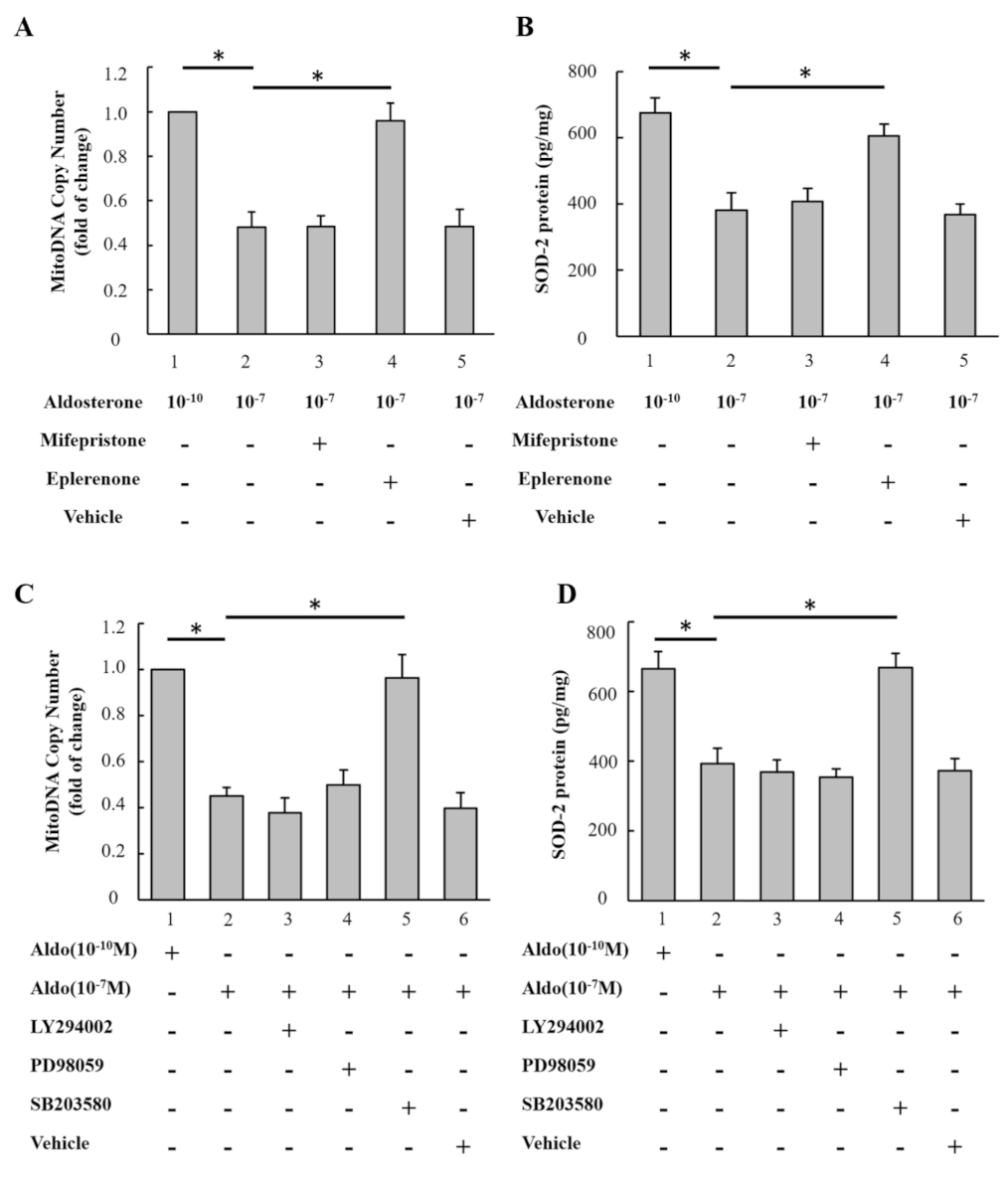 Biomedicines 09 00946 g002 550