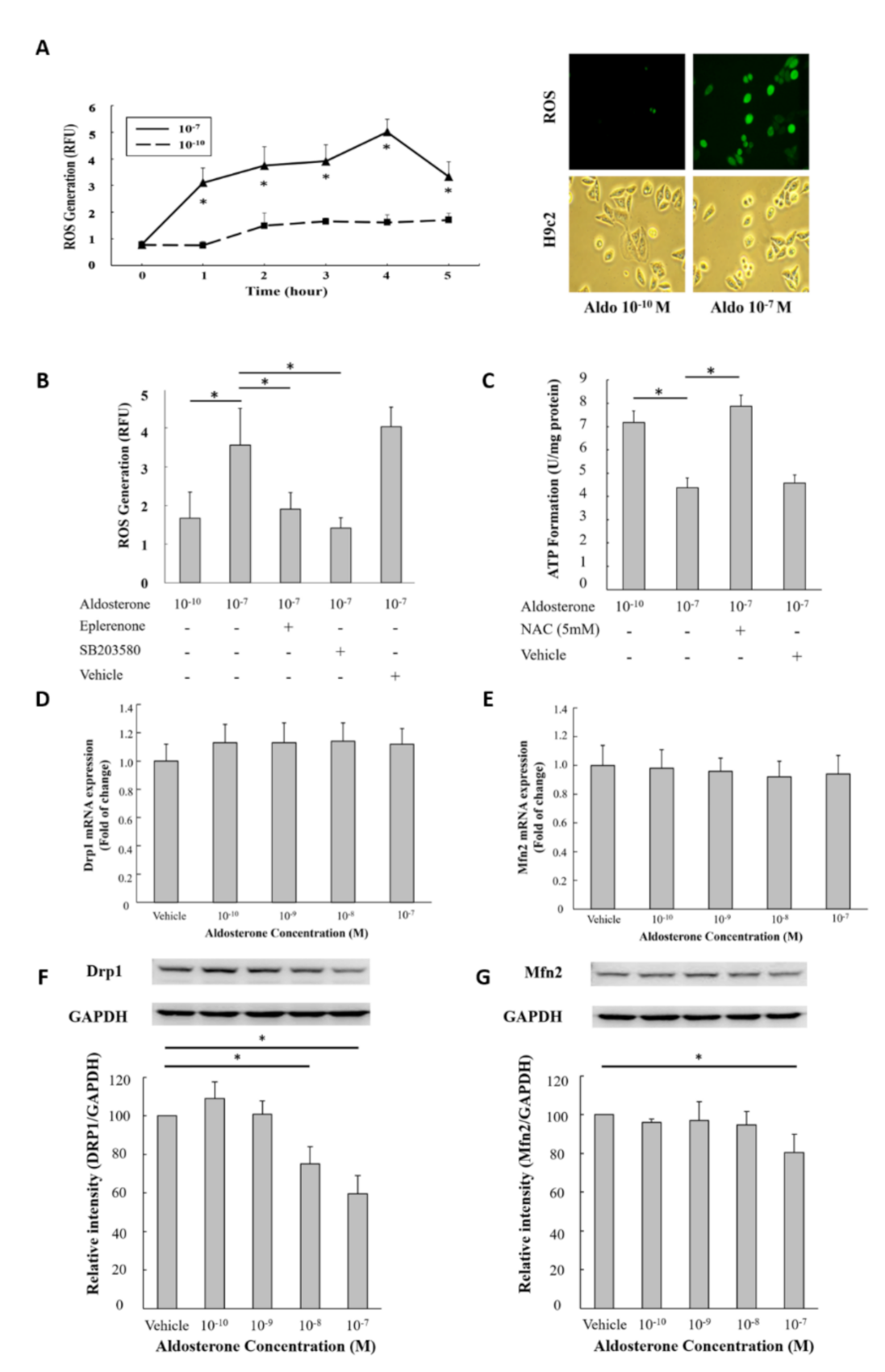 Biomedicines 09 00946 g003 550